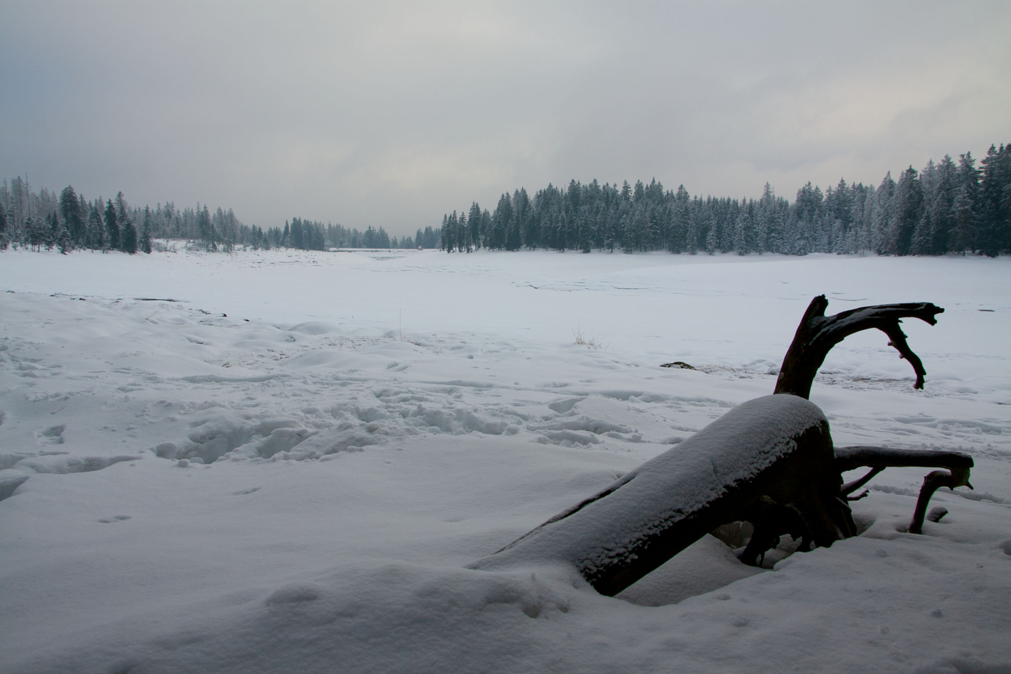 Canon EOS 50D + Sigma 18-250mm F3.5-6.3 DC OS HSM sample photo. A cold view over a frozen lake at harz photography
