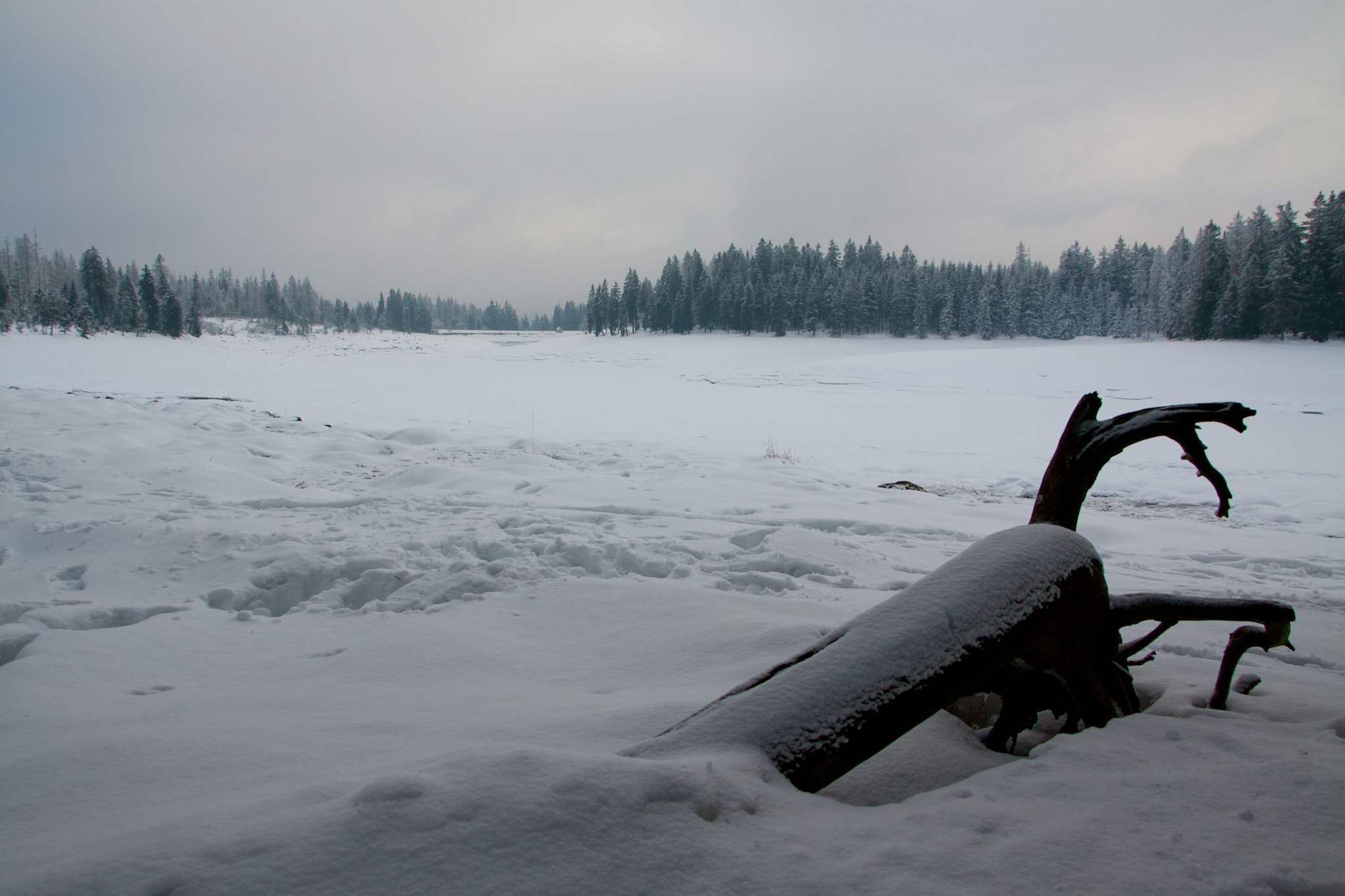 Sigma 18-250mm F3.5-6.3 DC OS HSM sample photo. A cold view over a frozen lake at harz photography