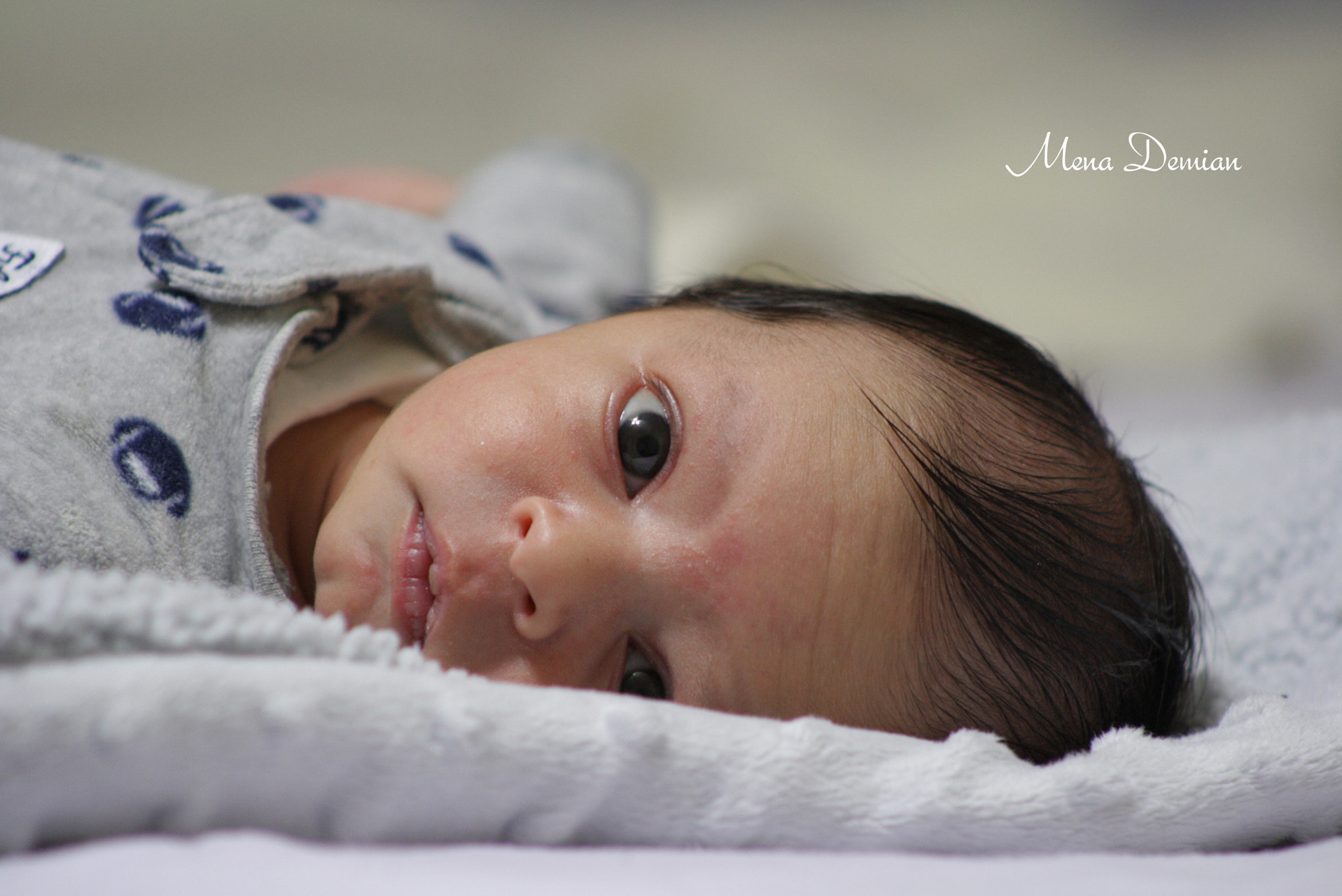 EF75-300mm f/4-5.6 sample photo. Img photography