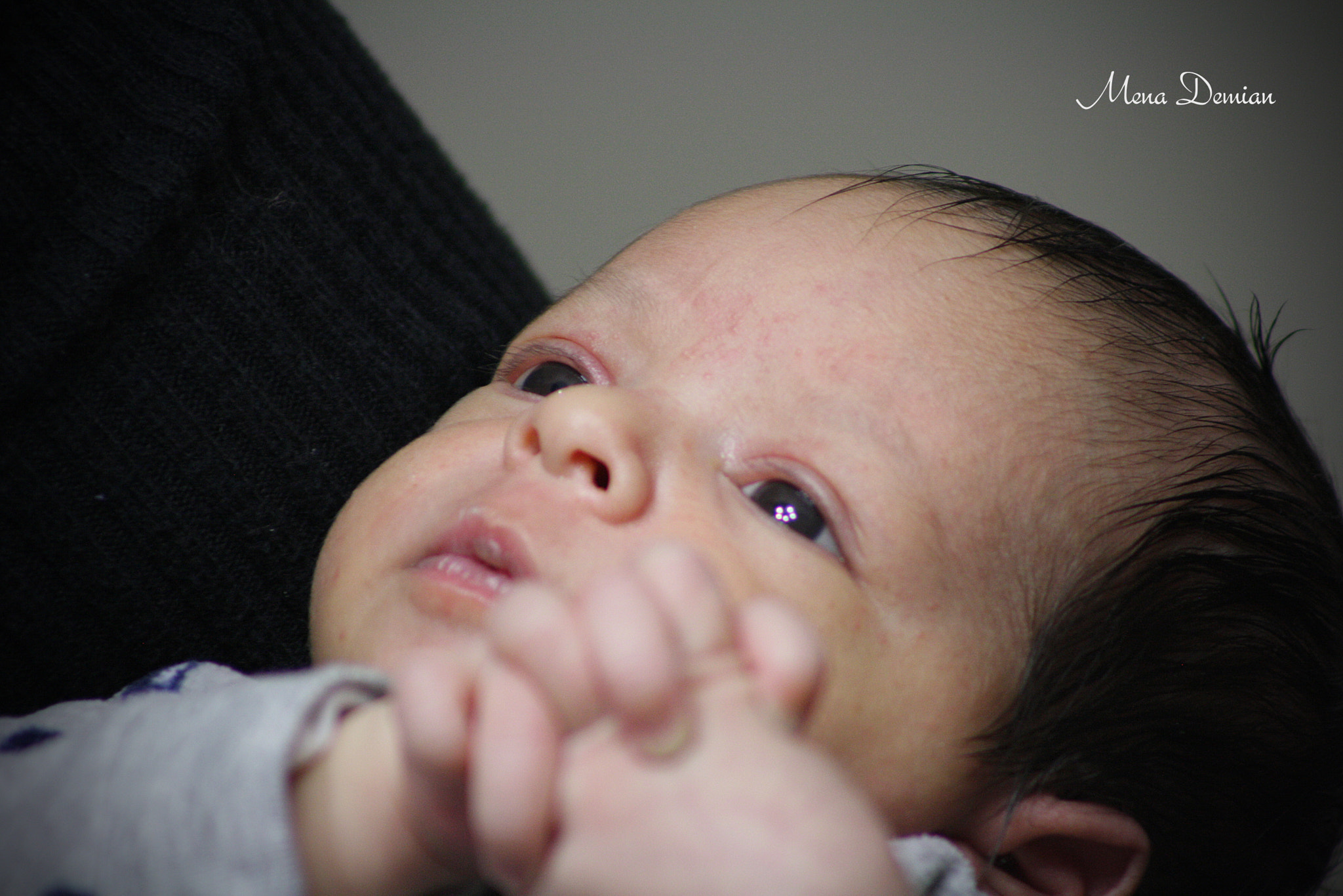 EF75-300mm f/4-5.6 sample photo. Img photography
