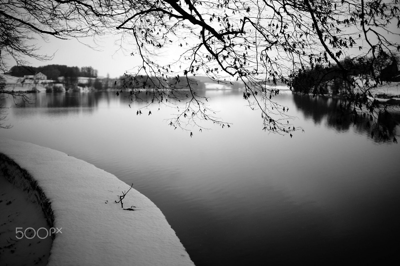 Sony 35mm F1.4 G sample photo. Lac de bret, 13-01-2017 (#4, bw) photography