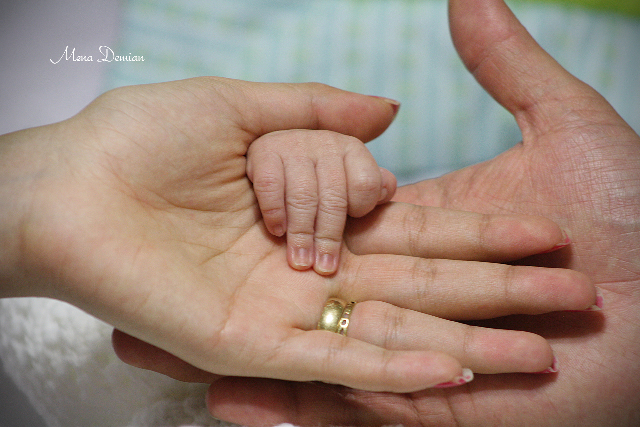 EF75-300mm f/4-5.6 sample photo. Img photography