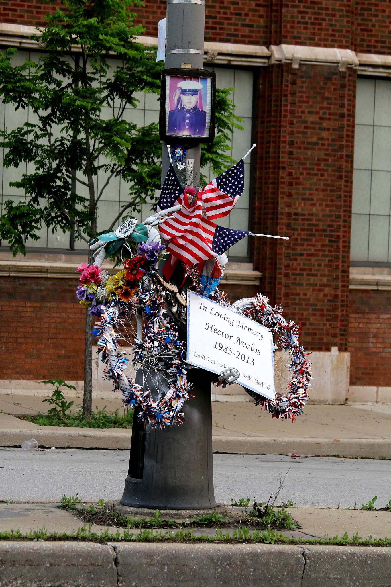 Canon EF 28-135mm F3.5-5.6 IS USM sample photo. "in loving memory" photography