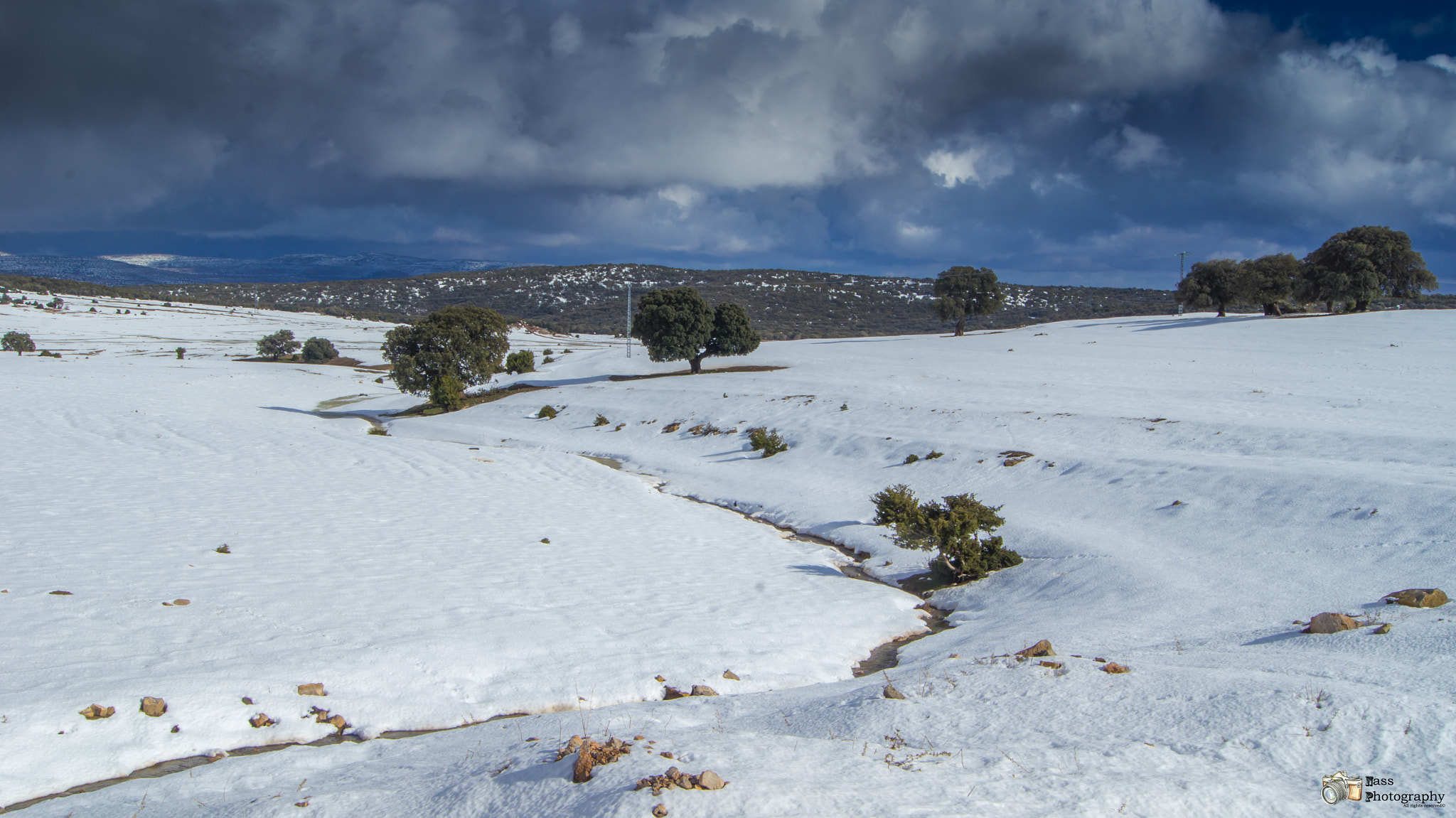 Sony SLT-A55 (SLT-A55V) sample photo. Foret de terni,tlemcen photography