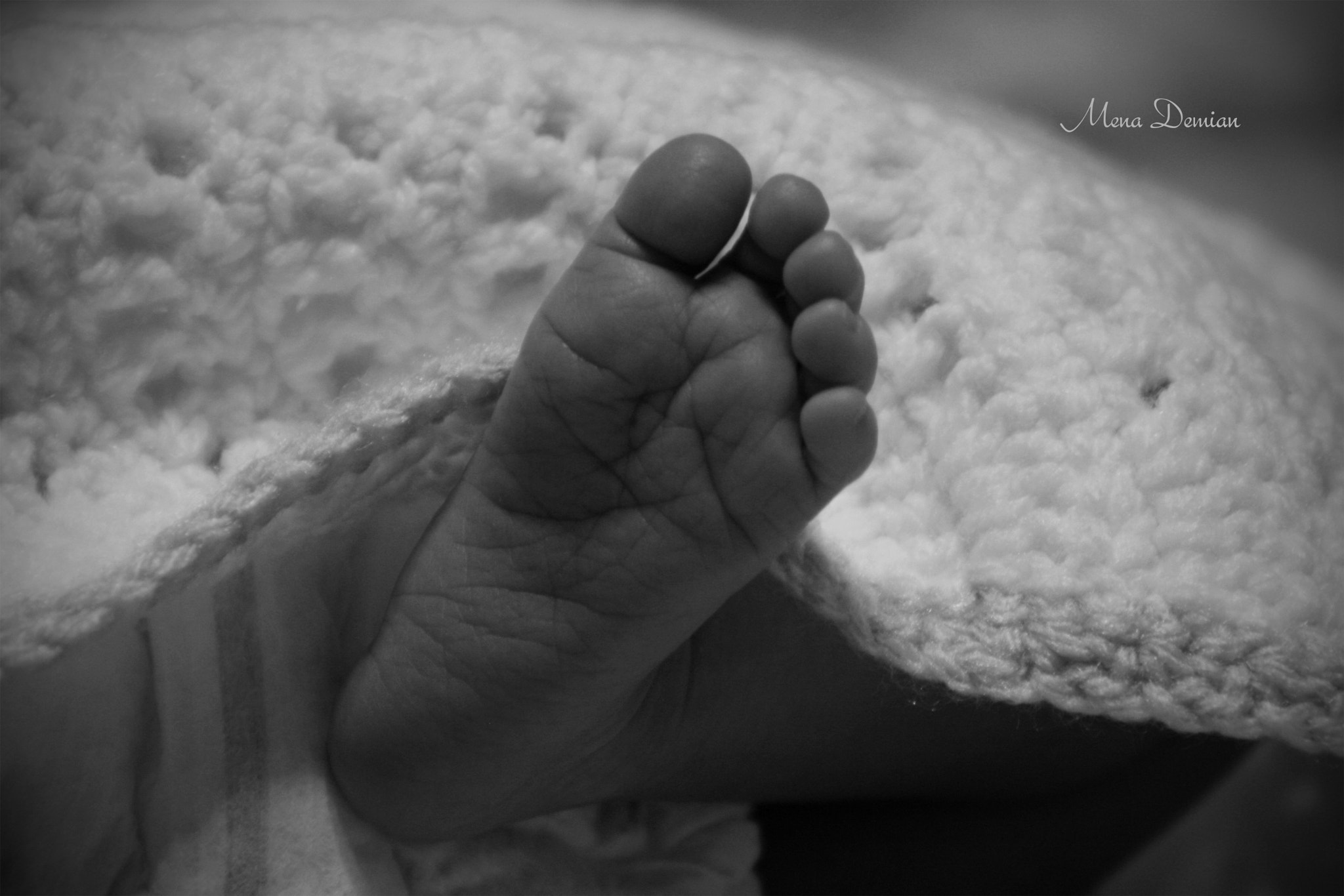 EF75-300mm f/4-5.6 sample photo. B&w photography