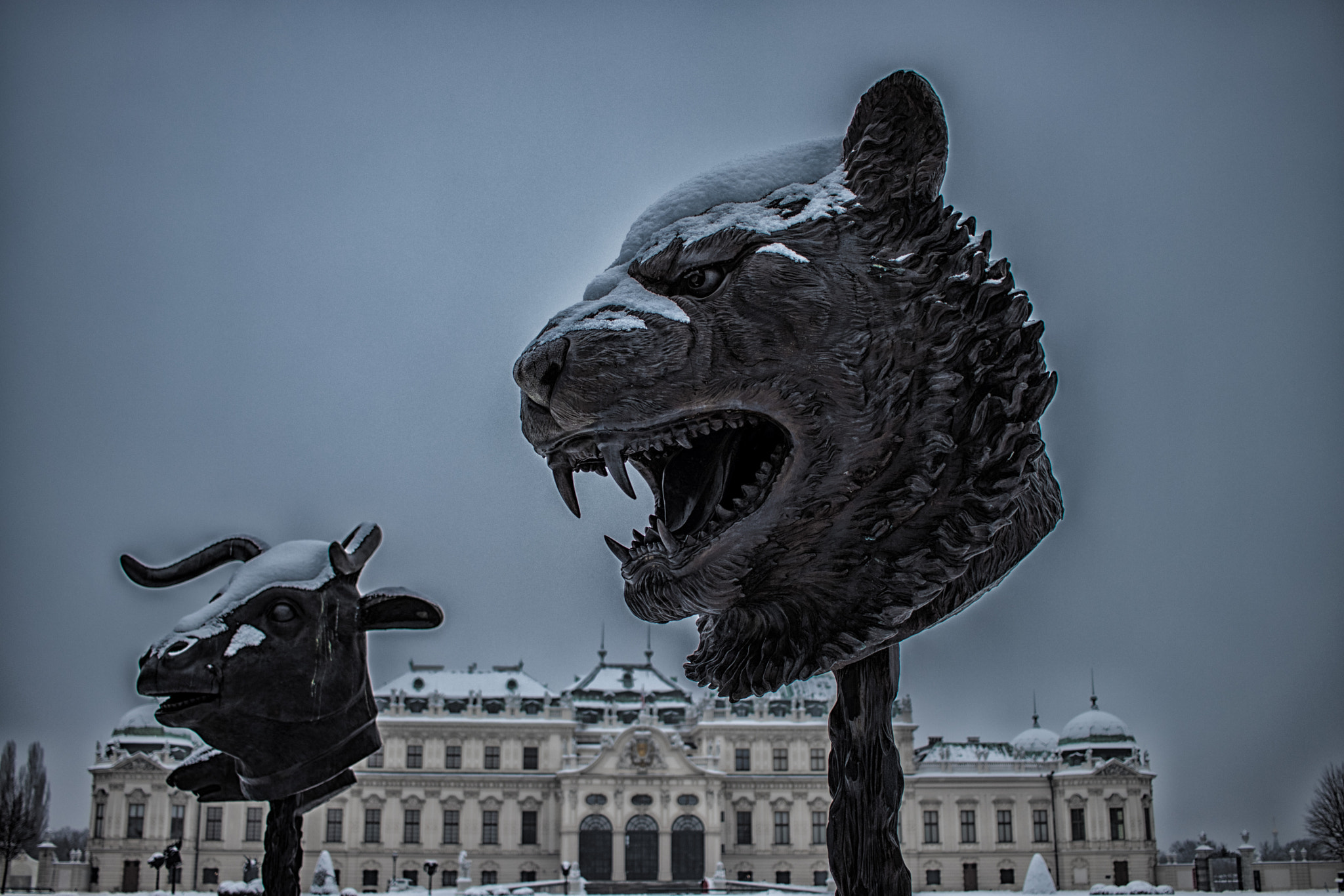 Canon EF-S 24mm F2.8 STM sample photo. The lion in winter photography