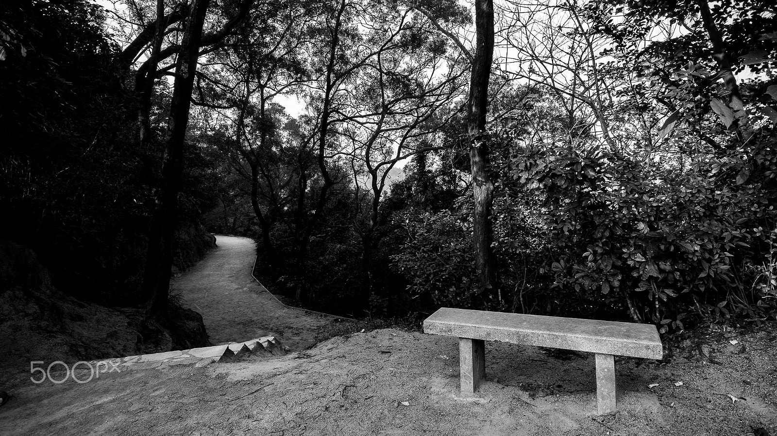 Sigma 10-20mm F4-5.6 EX DC HSM sample photo. "dont wait. if its not right move on" photography