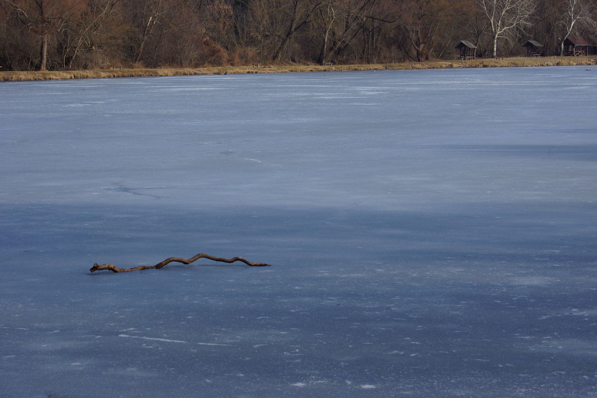 Sony SLT-A65 (SLT-A65V) + Minolta AF 70-210mm F4.5-5.6 [II] sample photo. Frozen  photography