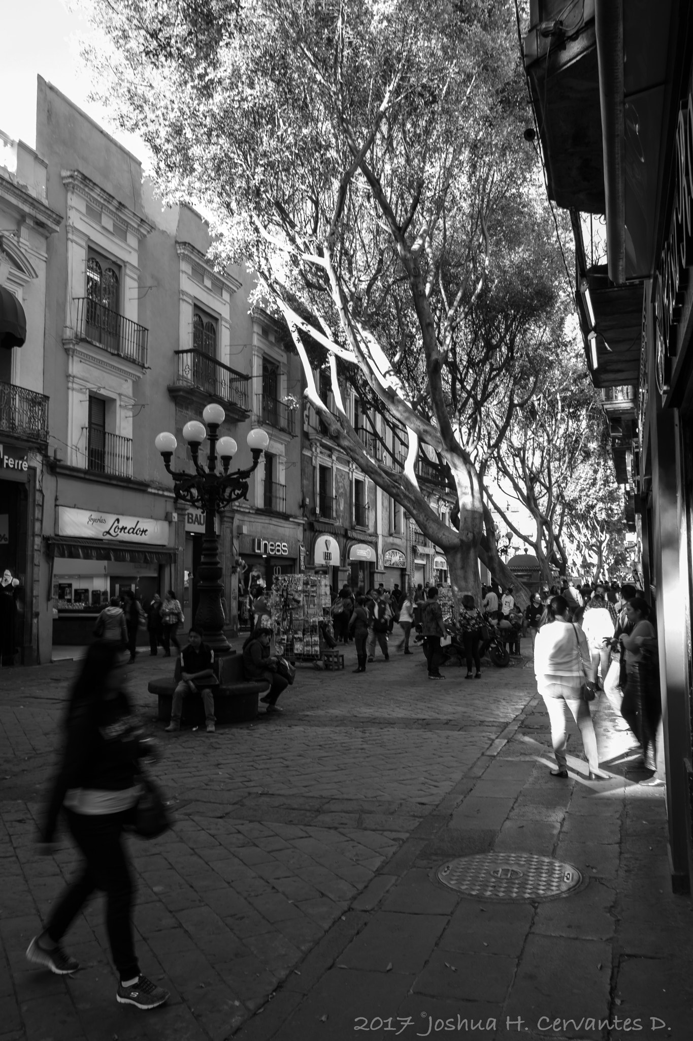 Canon EOS 750D (EOS Rebel T6i / EOS Kiss X8i) sample photo. Busy street photography