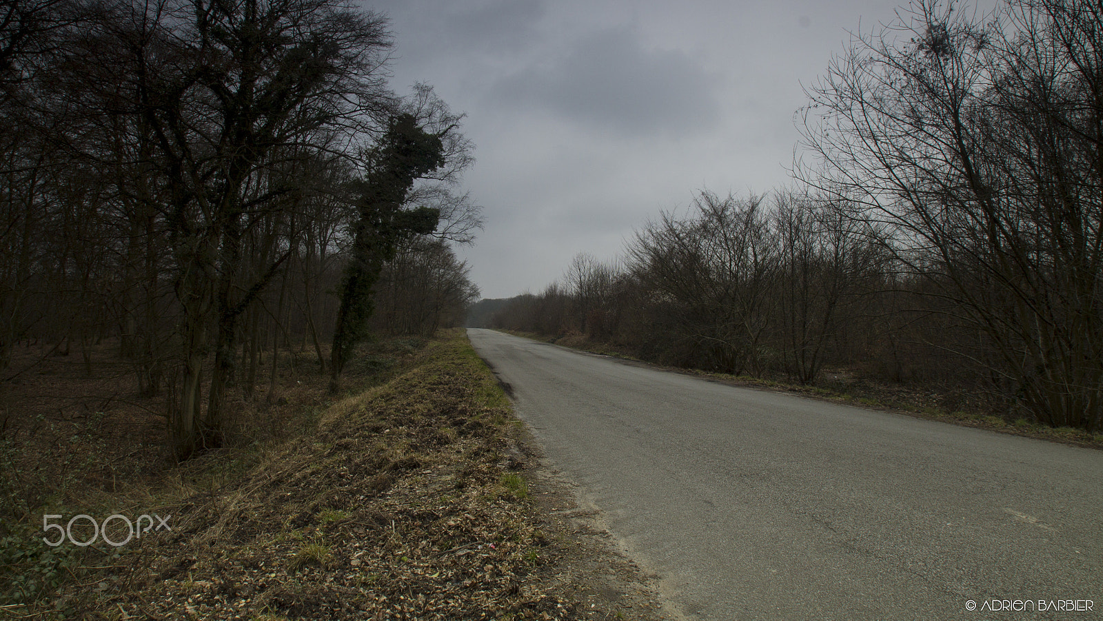 Sigma 10-20mm F3.5 EX DC HSM sample photo. Vers l'étoile photography