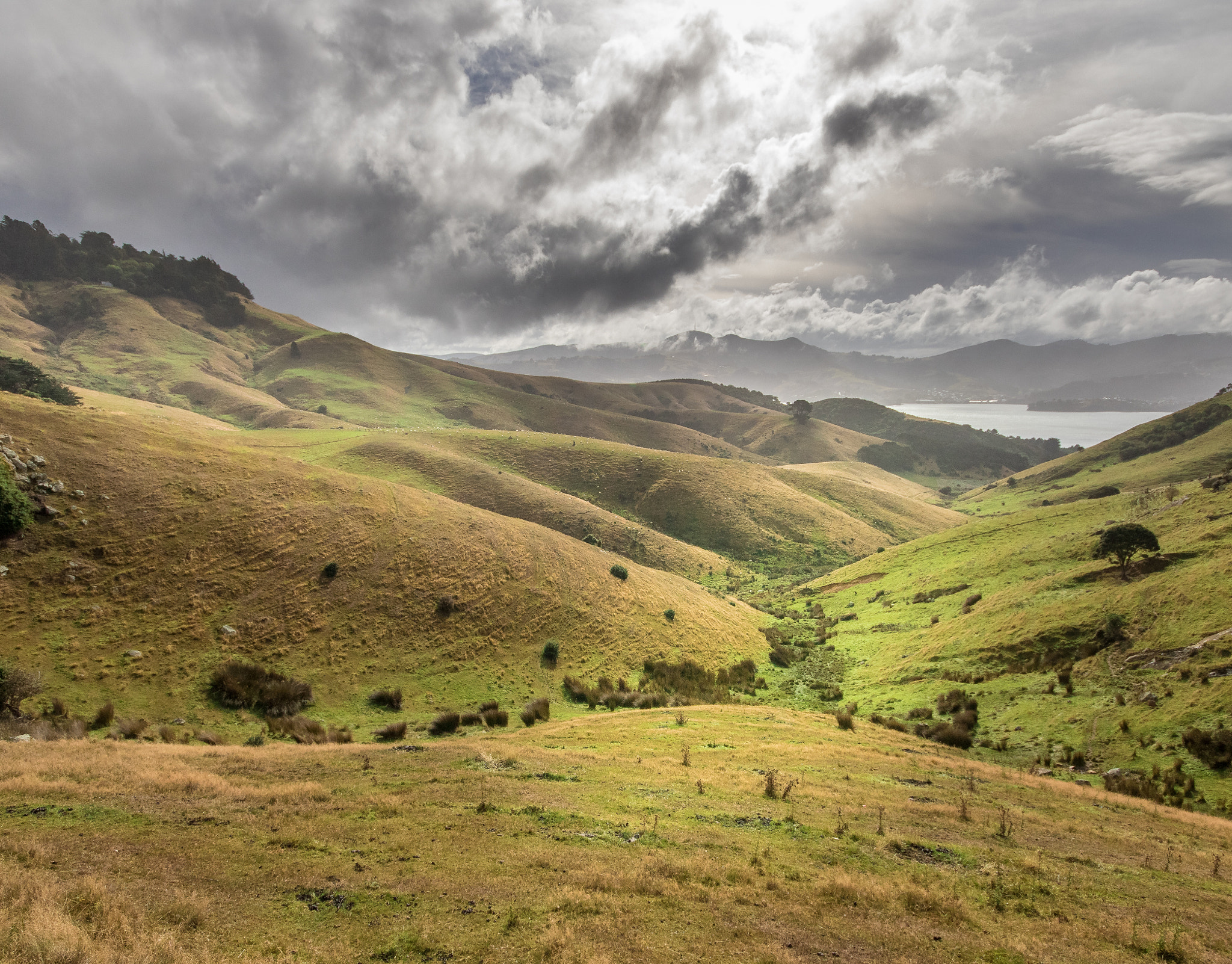 Sigma 10-20mm F4-5.6 EX DC HSM sample photo. Dunedin drama photography