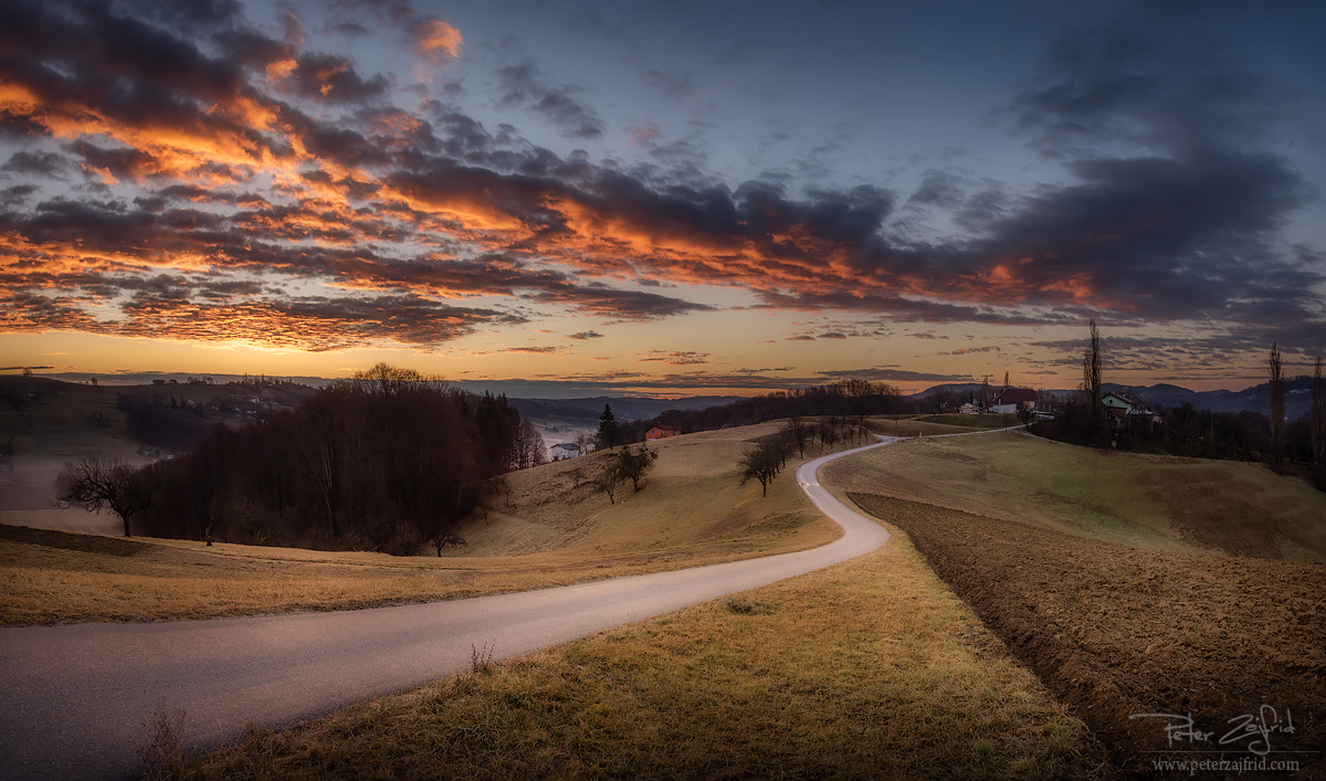 Nikon D810 sample photo. Morning on the road photography