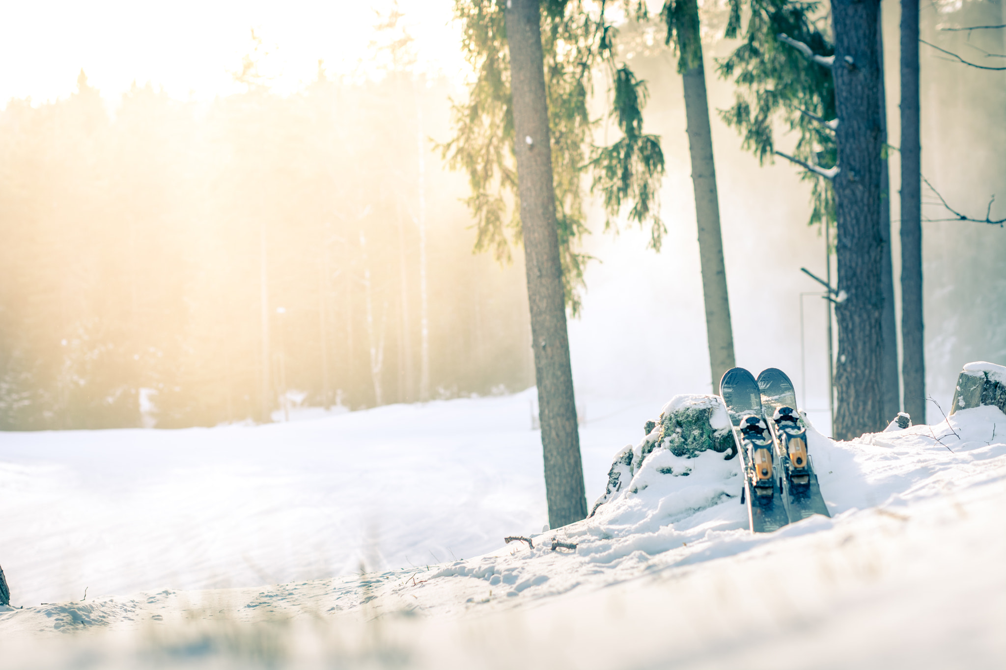 Nikon D5200 + Sigma 50mm F1.4 DG HSM Art sample photo. Mountain skis at sunset in snowy forest photography