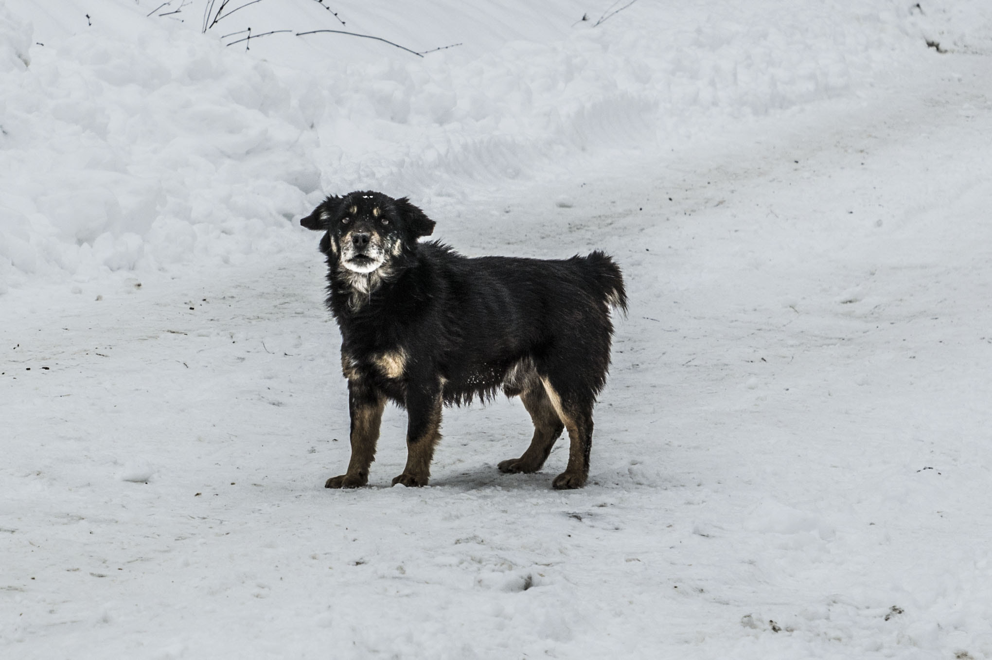 Nikon D3200 sample photo. Grivei photography