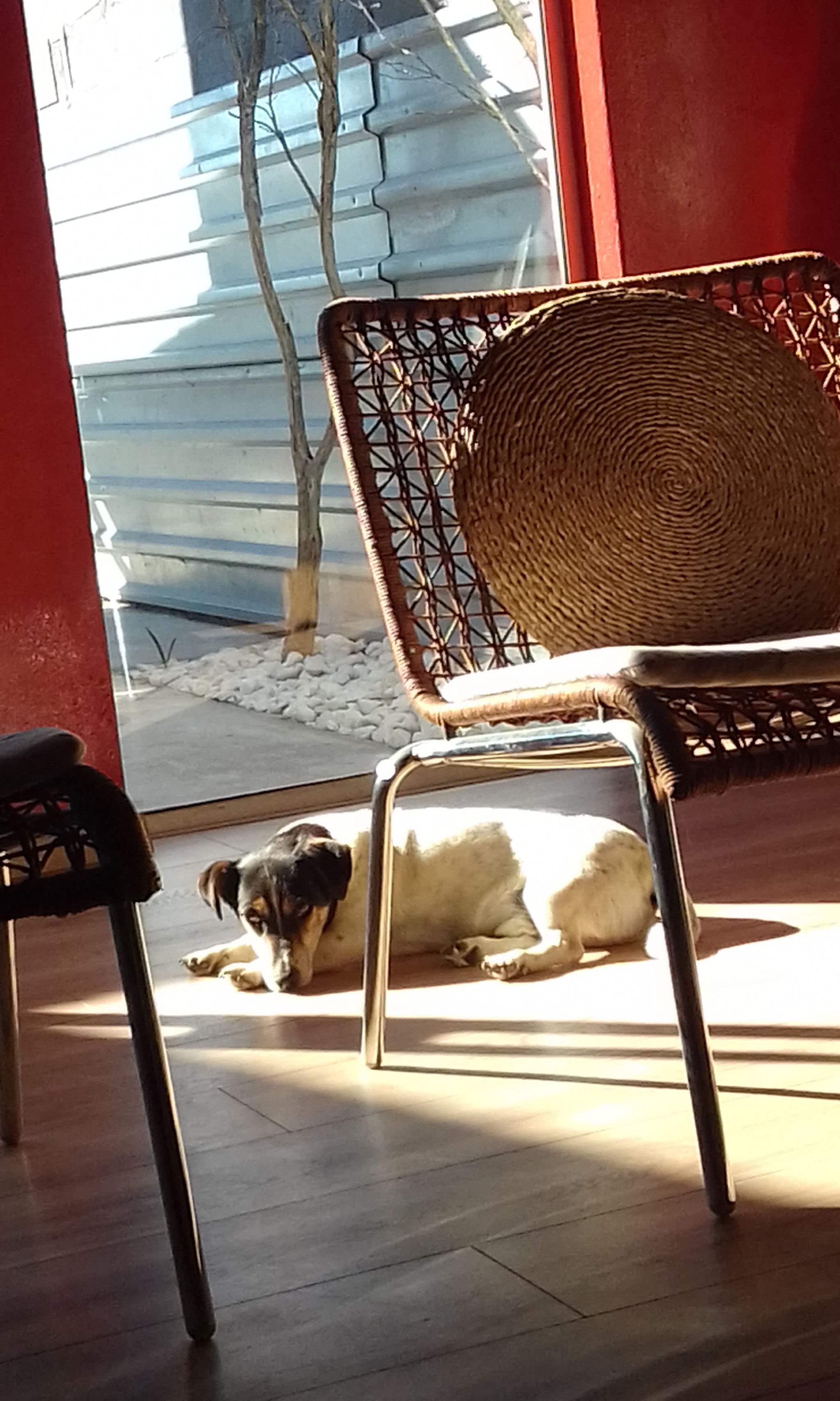 Samsung Galaxy J1 Mini sample photo