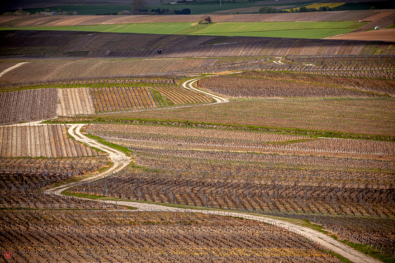 Canon EF 70-200mm F2.8L IS II USM sample photo. Verzenay, route touristique du champagne, france photography