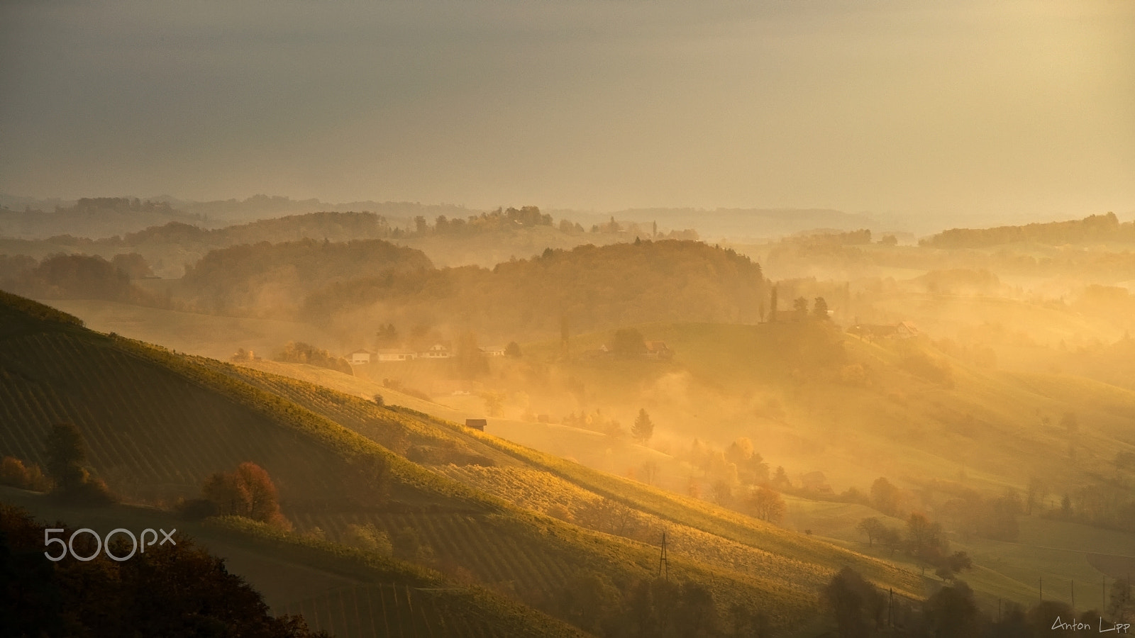 18.00 - 105.00 mm f/3.5 - 5.6 sample photo. Morning mist photography