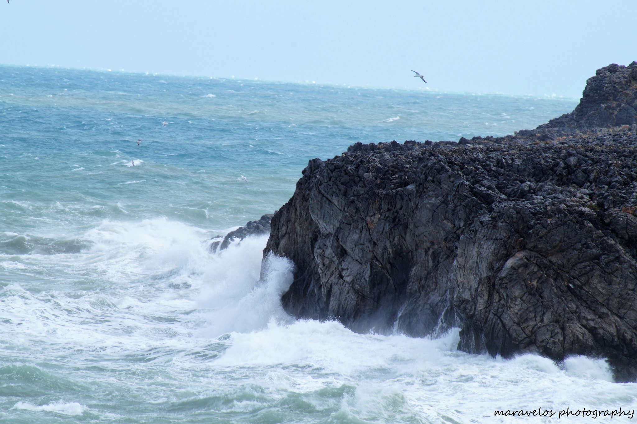 Sony 75-300mm F4.5-5.6 sample photo. Dsc photography