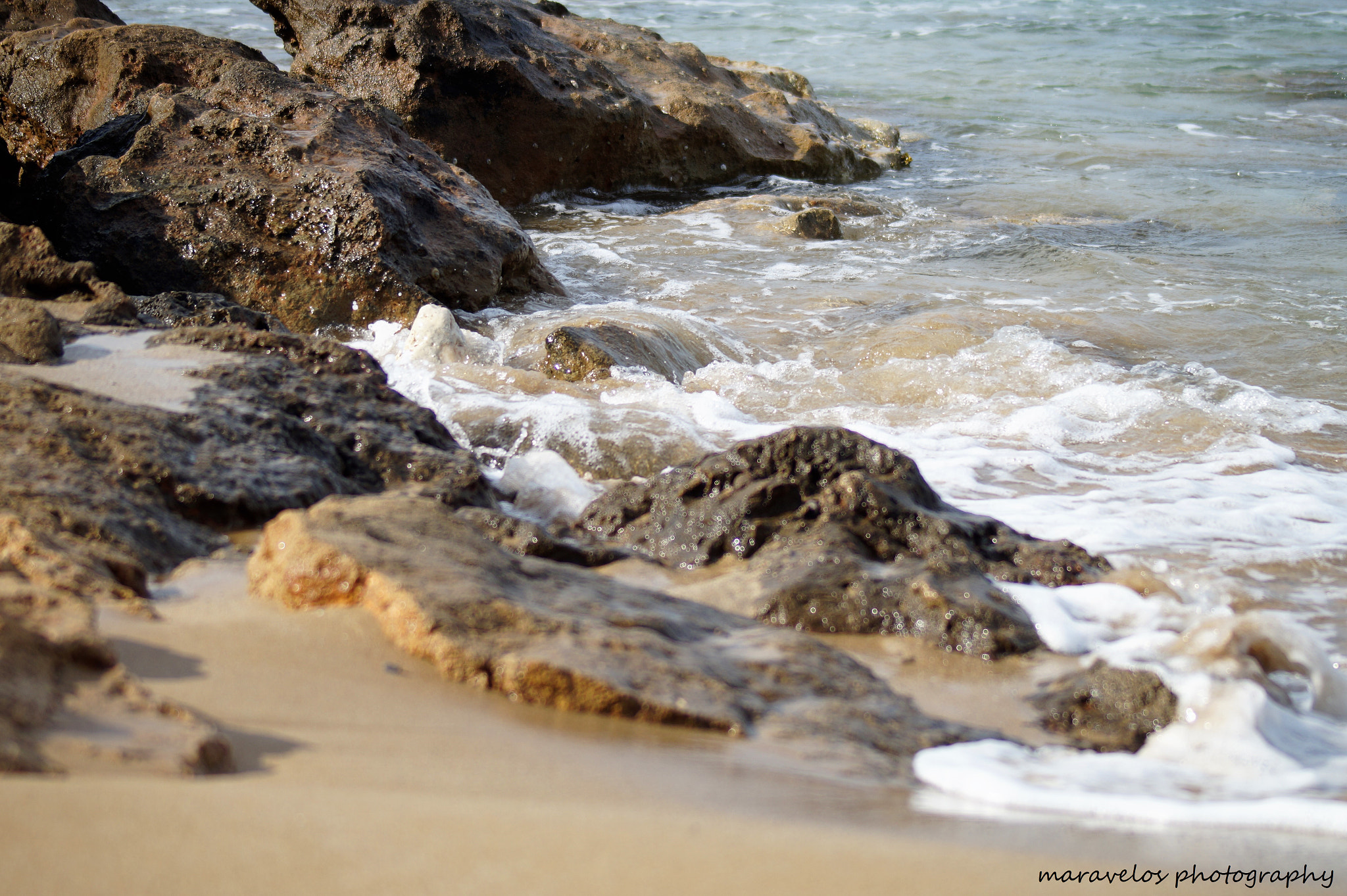 Sony 75-300mm F4.5-5.6 sample photo. Dsc photography