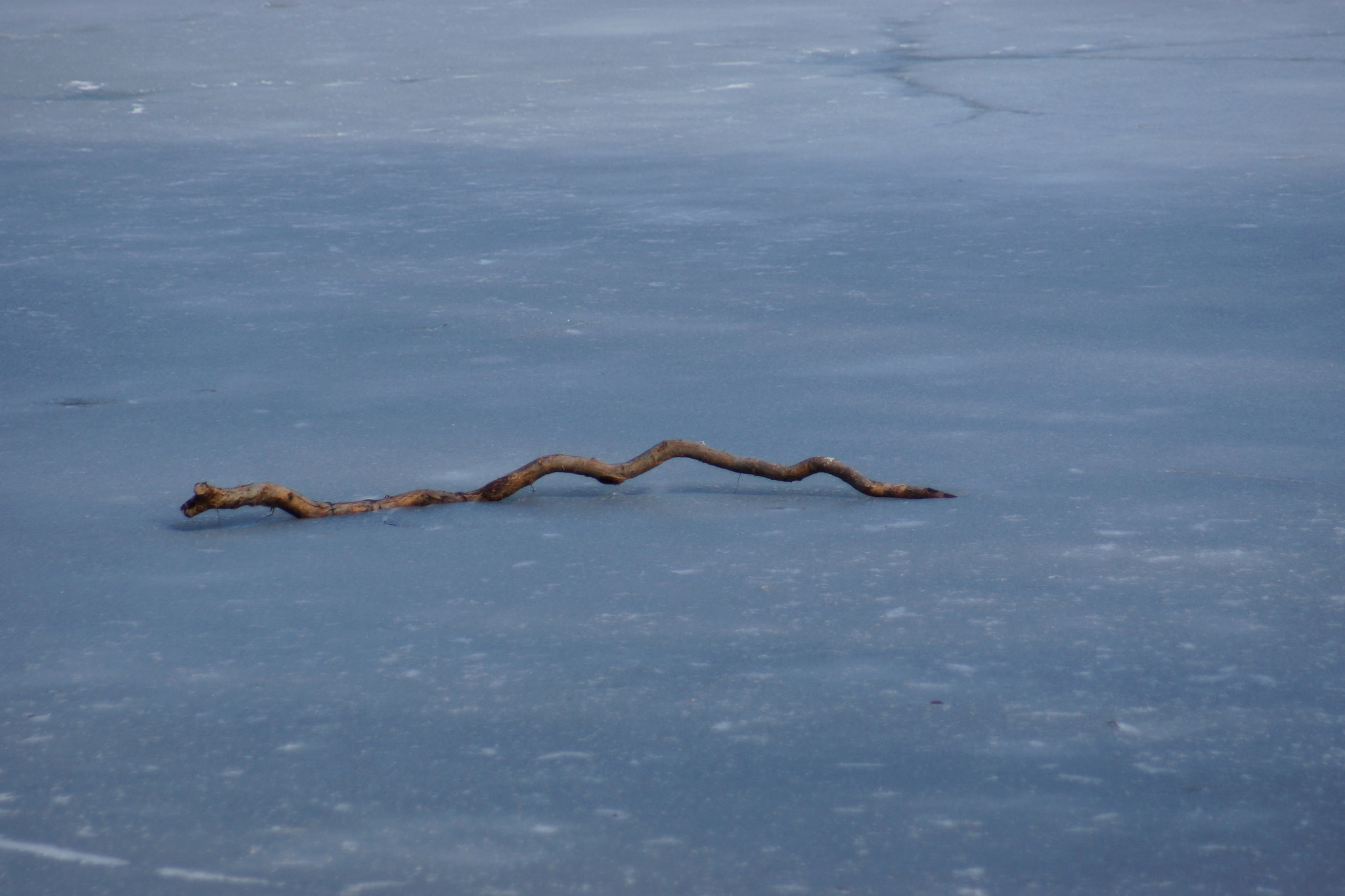 Sony SLT-A65 (SLT-A65V) + Minolta AF 70-210mm F4.5-5.6 [II] sample photo. Frozen nature  photography