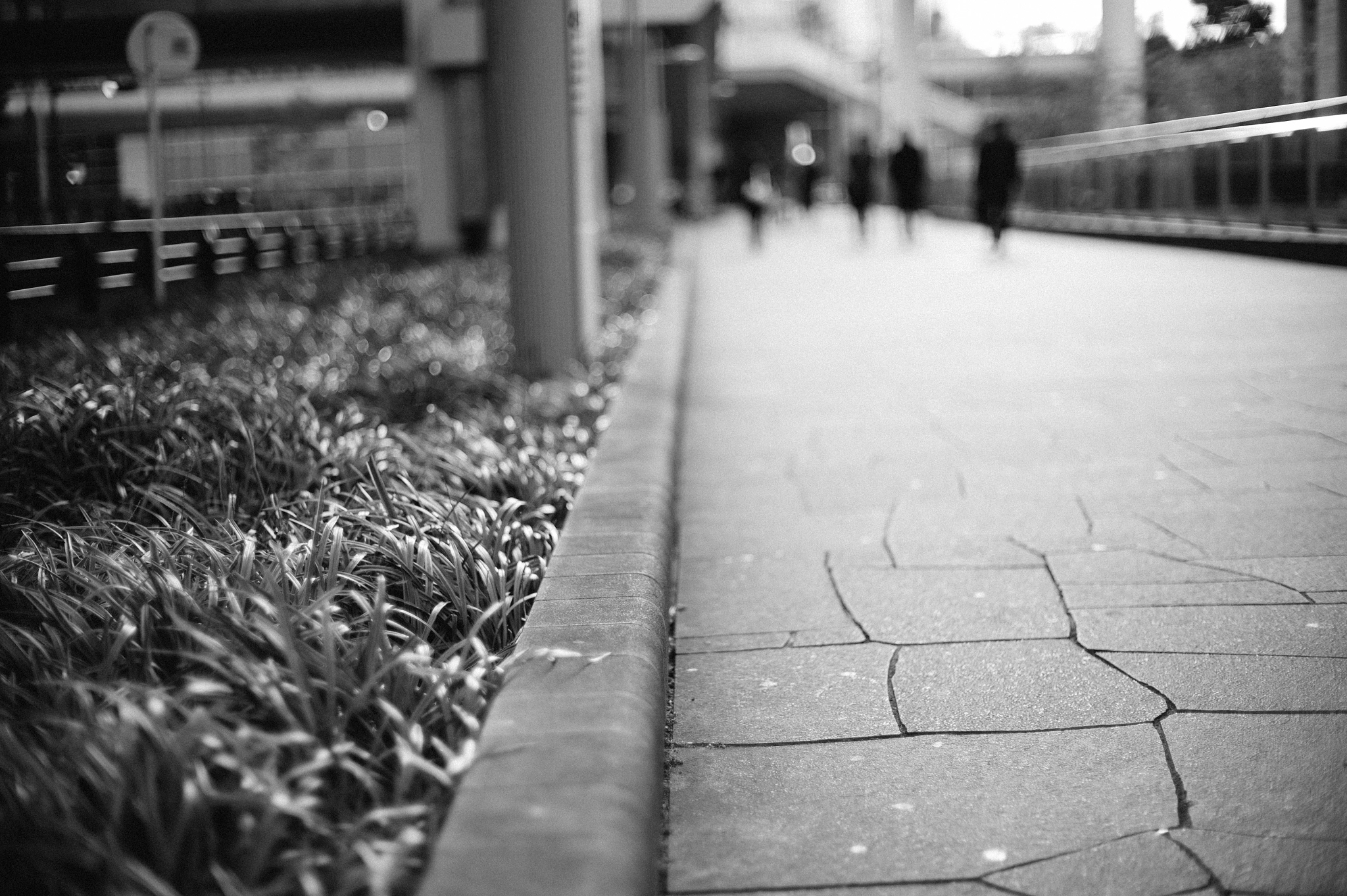 Leica M9 + Noctilux-M 50mm f/1 sample photo. Freezing weather photography