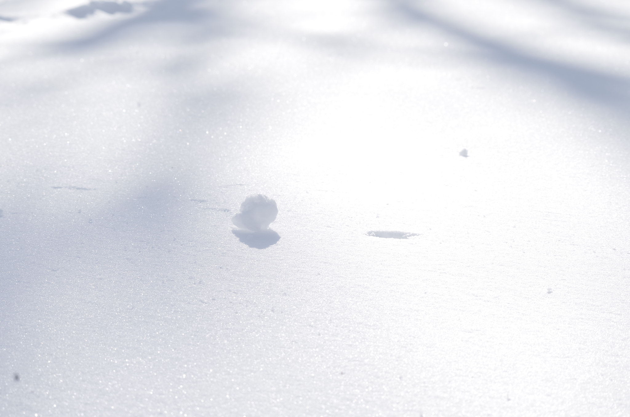 Pentax K-50 sample photo. Snow ball and hole photography