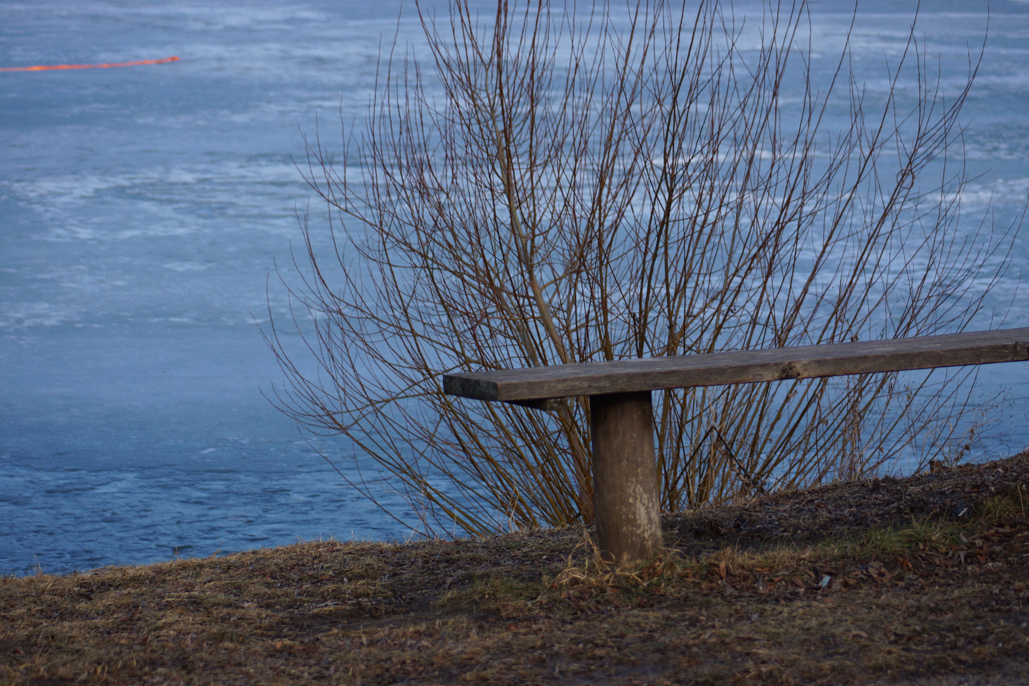 Sony SLT-A65 (SLT-A65V) + Minolta AF 70-210mm F4.5-5.6 [II] sample photo. Frozen nature  photography