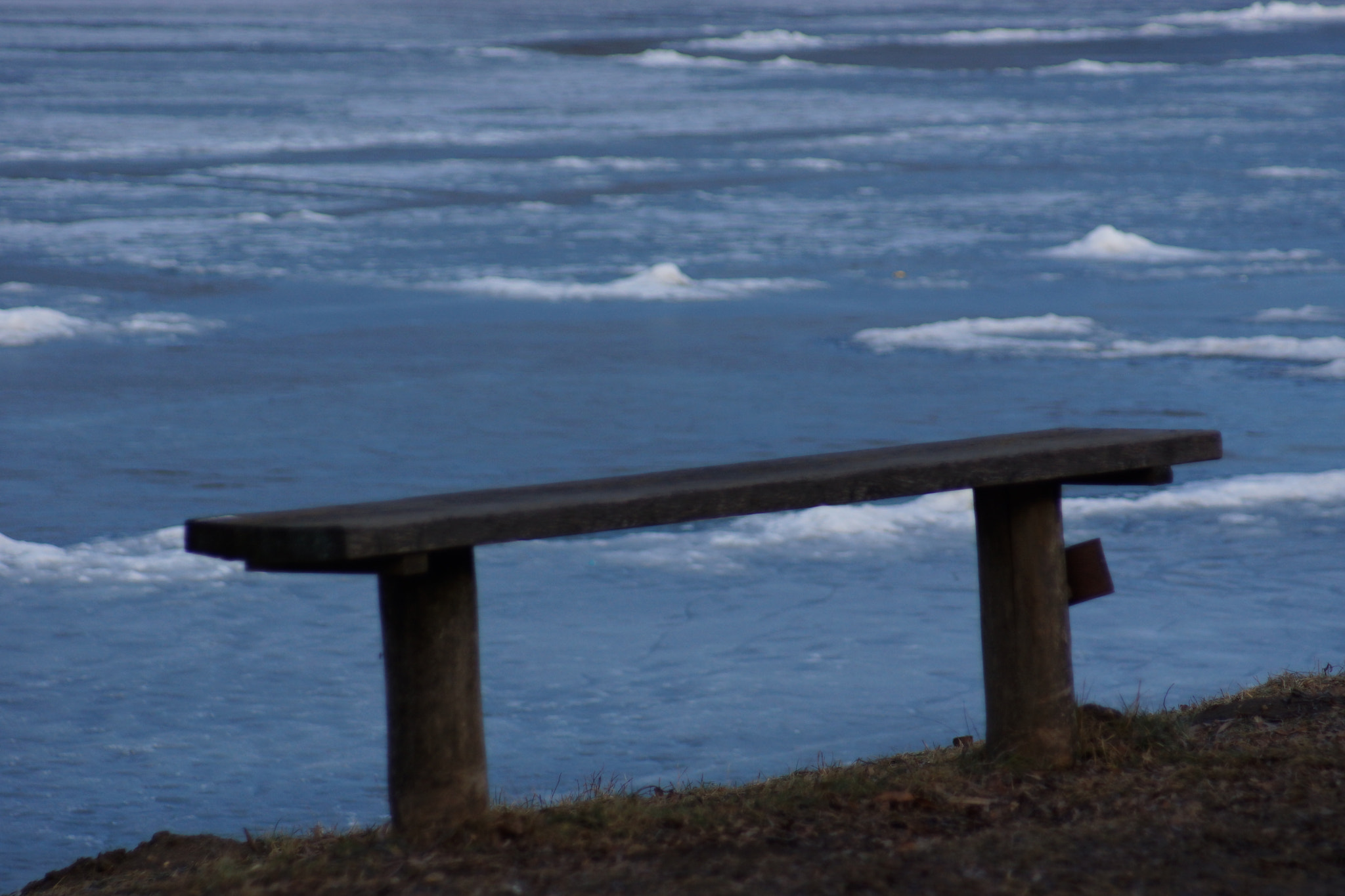 Sony SLT-A65 (SLT-A65V) sample photo. Frozen nature  photography