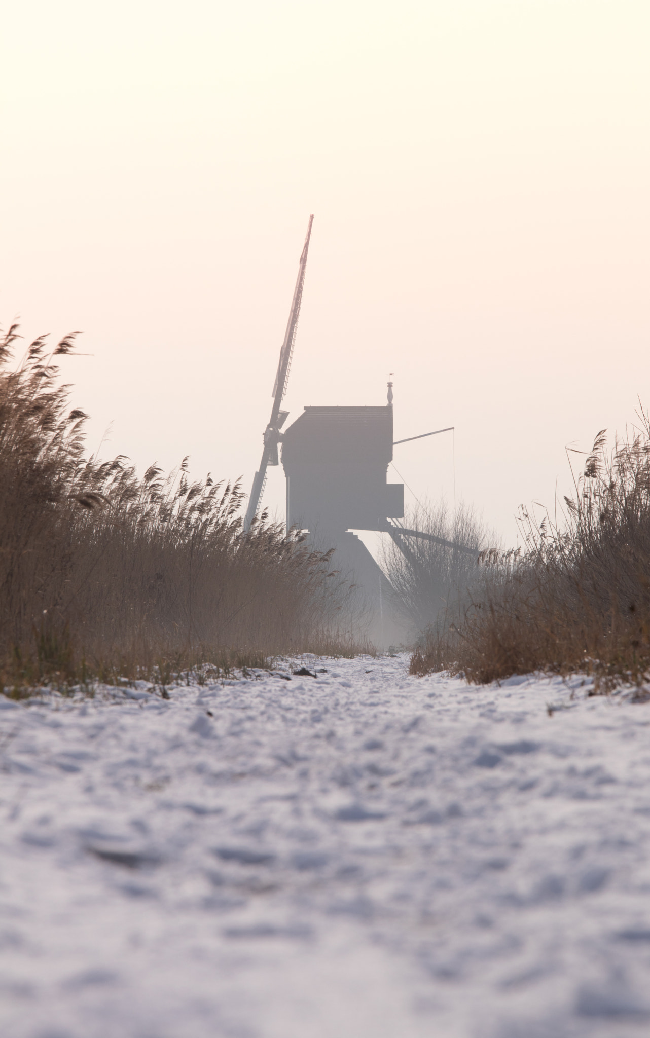 Canon EOS 80D + Canon EF 70-200mm F4L IS USM sample photo. Kinderdijk photography