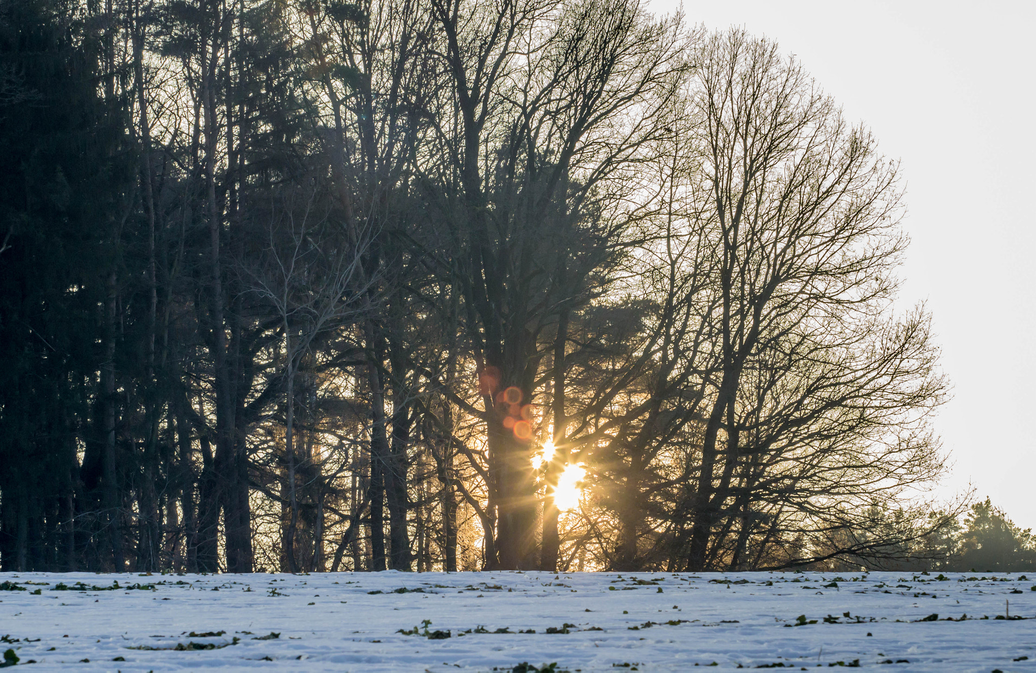 Canon EF 70-200mm F2.8L USM sample photo. Mg photography