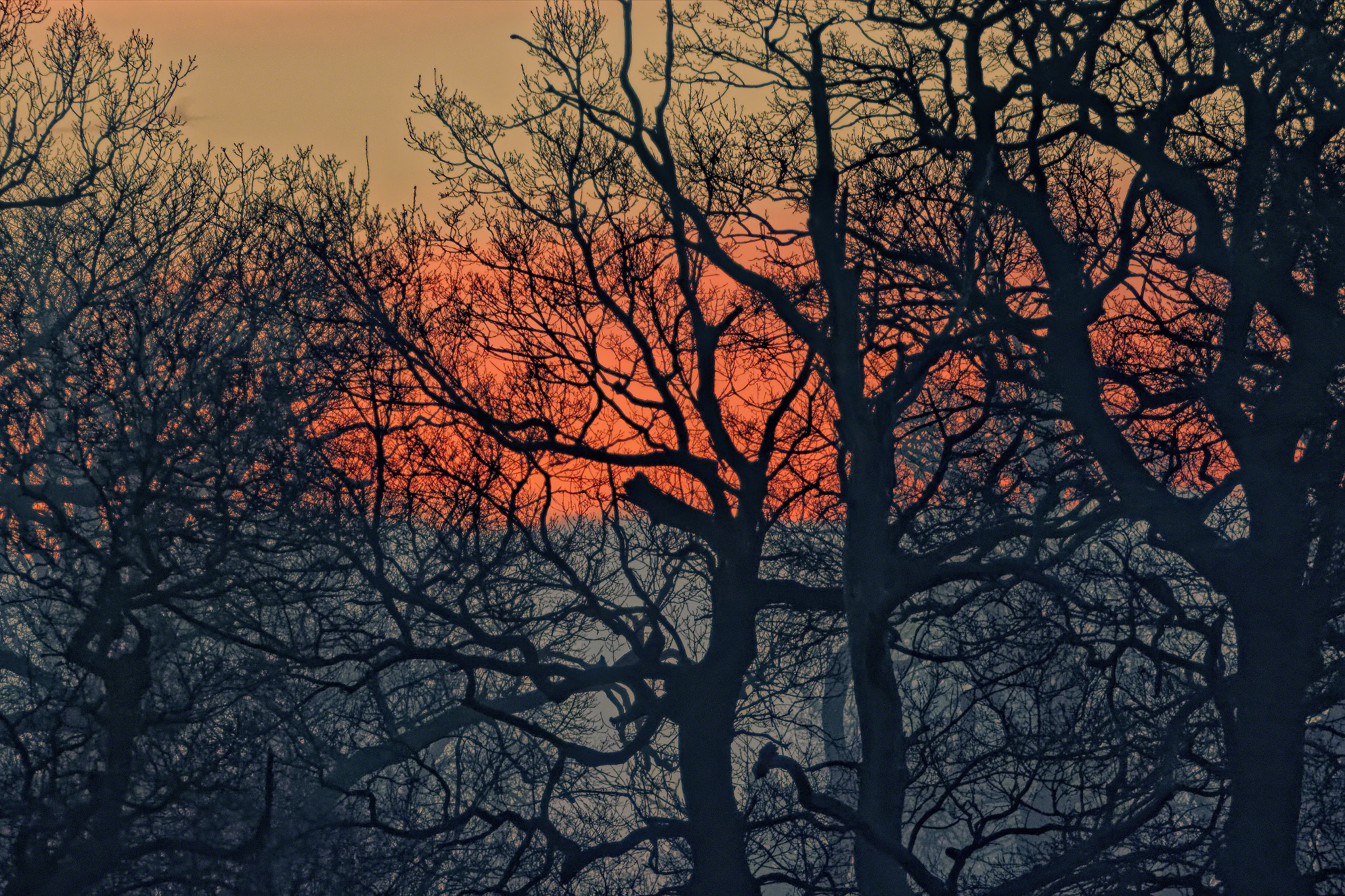 Canon EF 70-200mm F4L USM sample photo. Winter sunrise photography