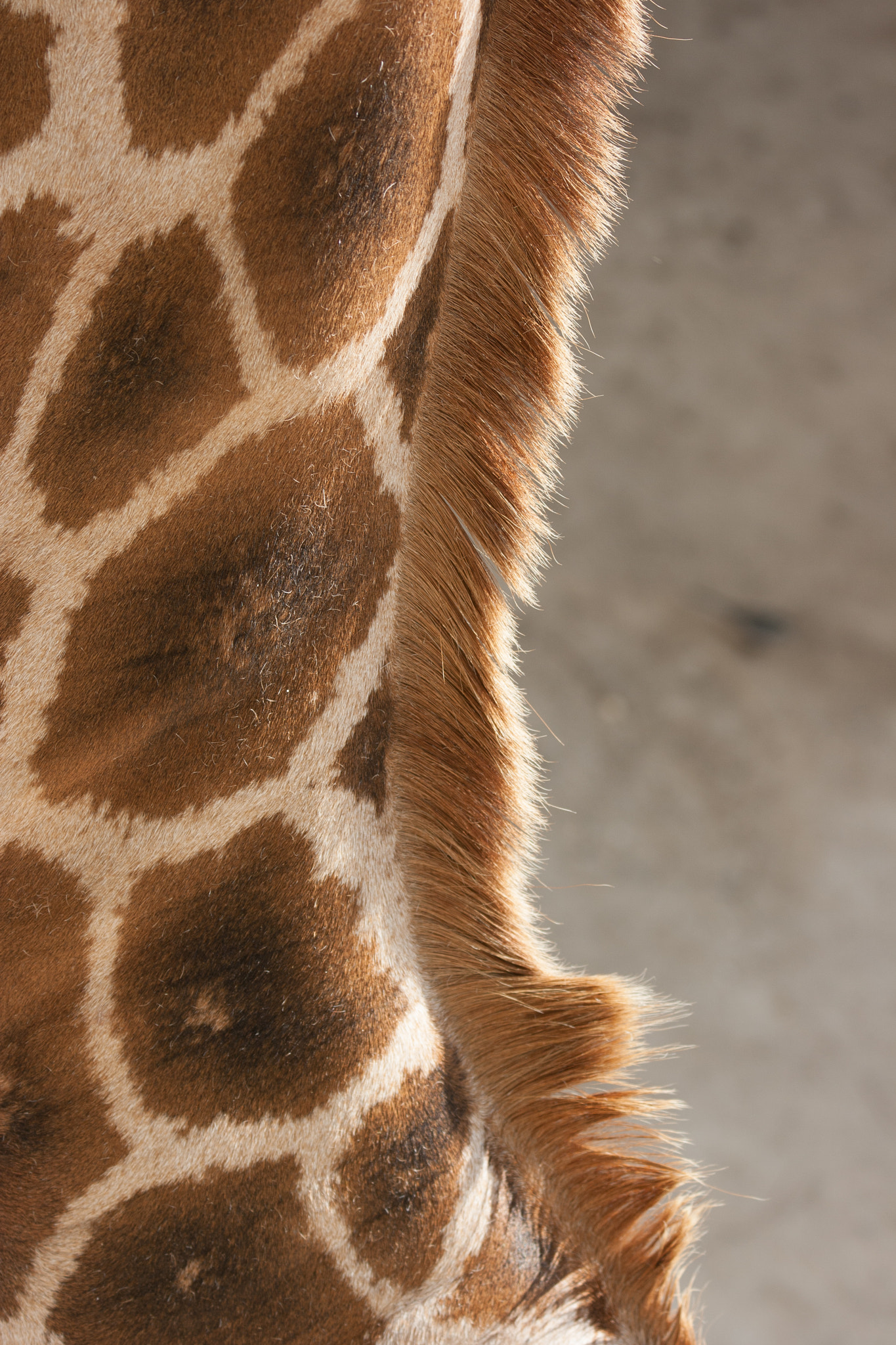 Canon EF 70-300mm F4-5.6 IS USM sample photo. Patterns in the sand photography