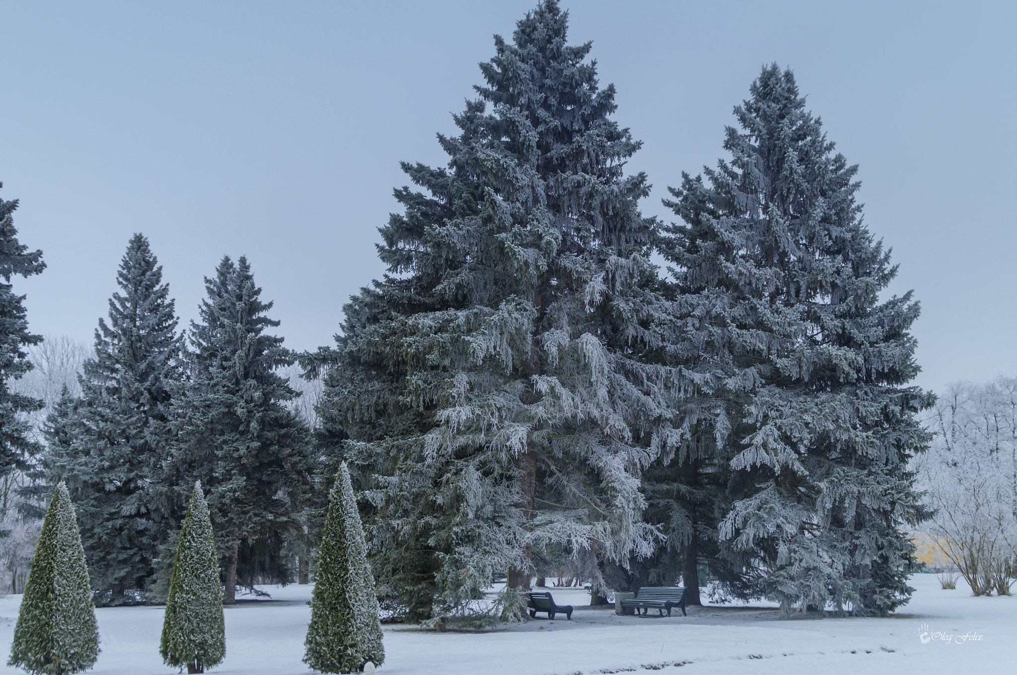 Sony DT 18-200mm F3.5-6.3 sample photo. Gray-haired winter.... photography