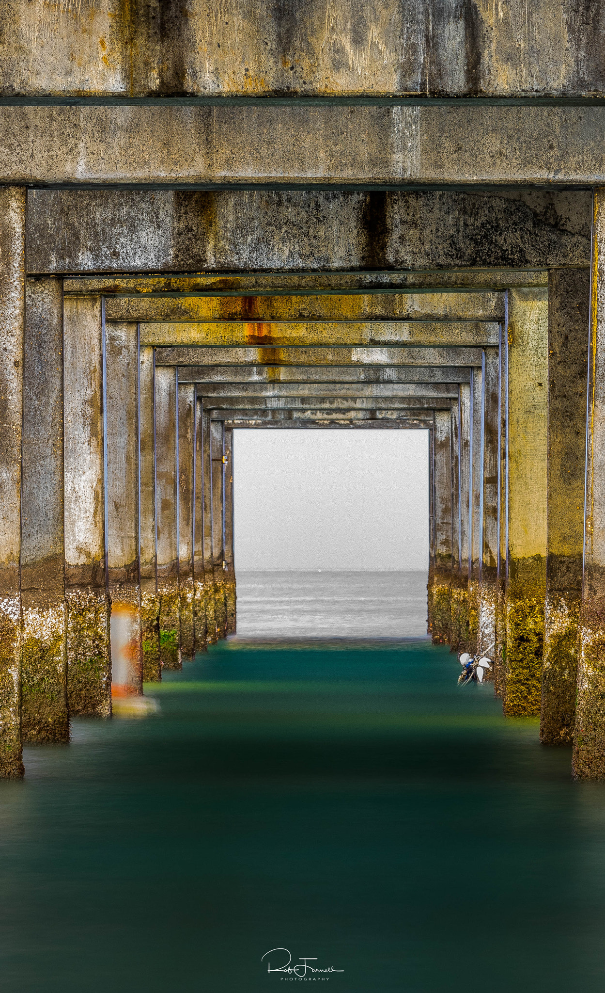 Pentax K-3 sample photo. Squared 2 photography