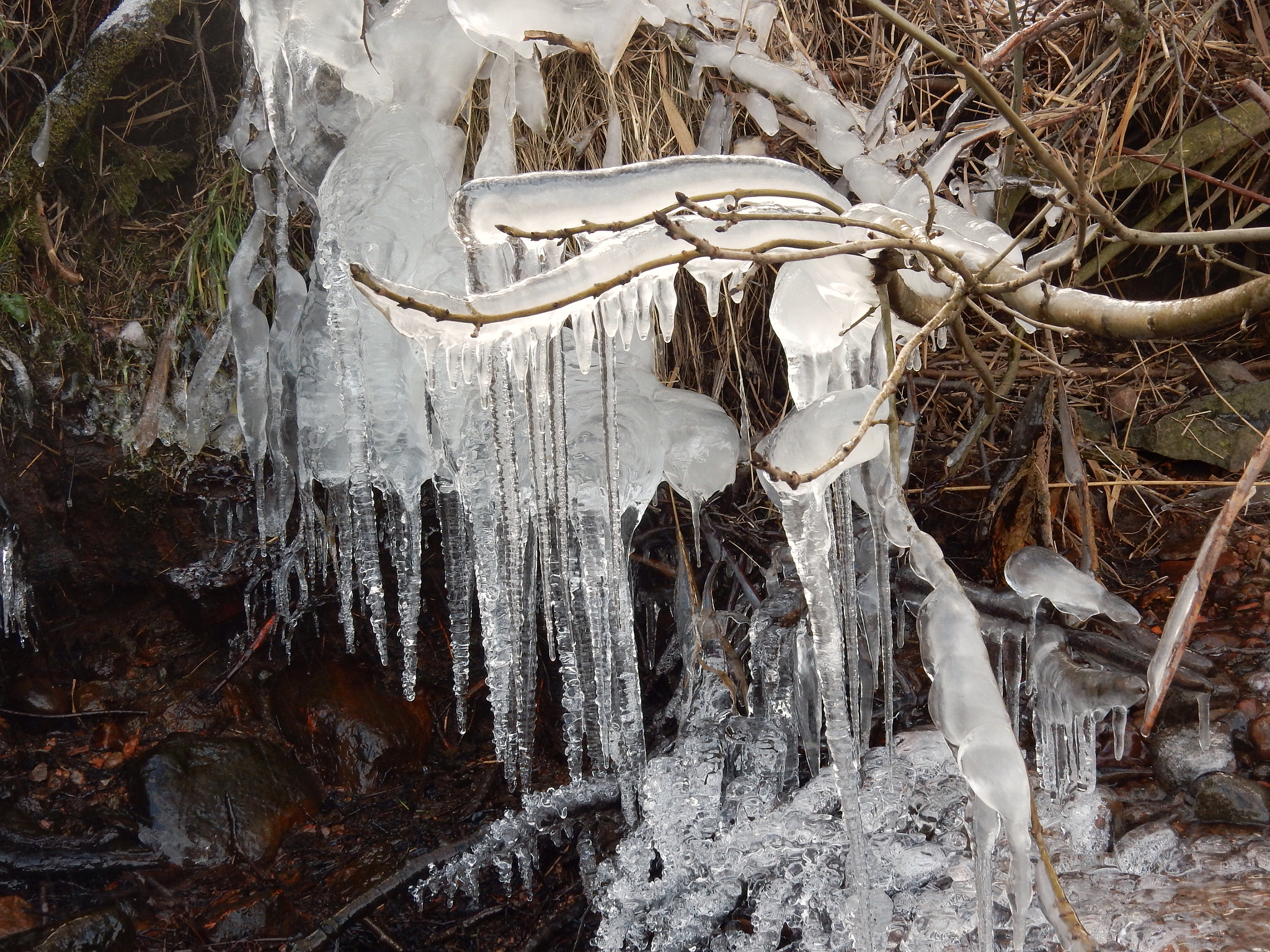 Nikon Coolpix S9700 sample photo. Ice photography