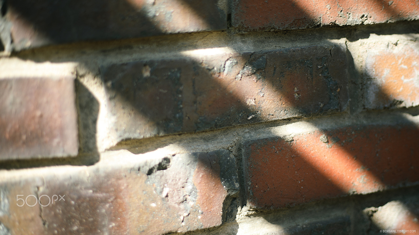 Canon EF 50mm F1.8 STM sample photo. 햇살이 비치는 벽돌벽 photography