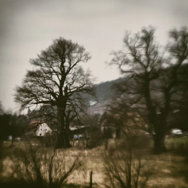 oak von dirk derbaum auf 500px.com