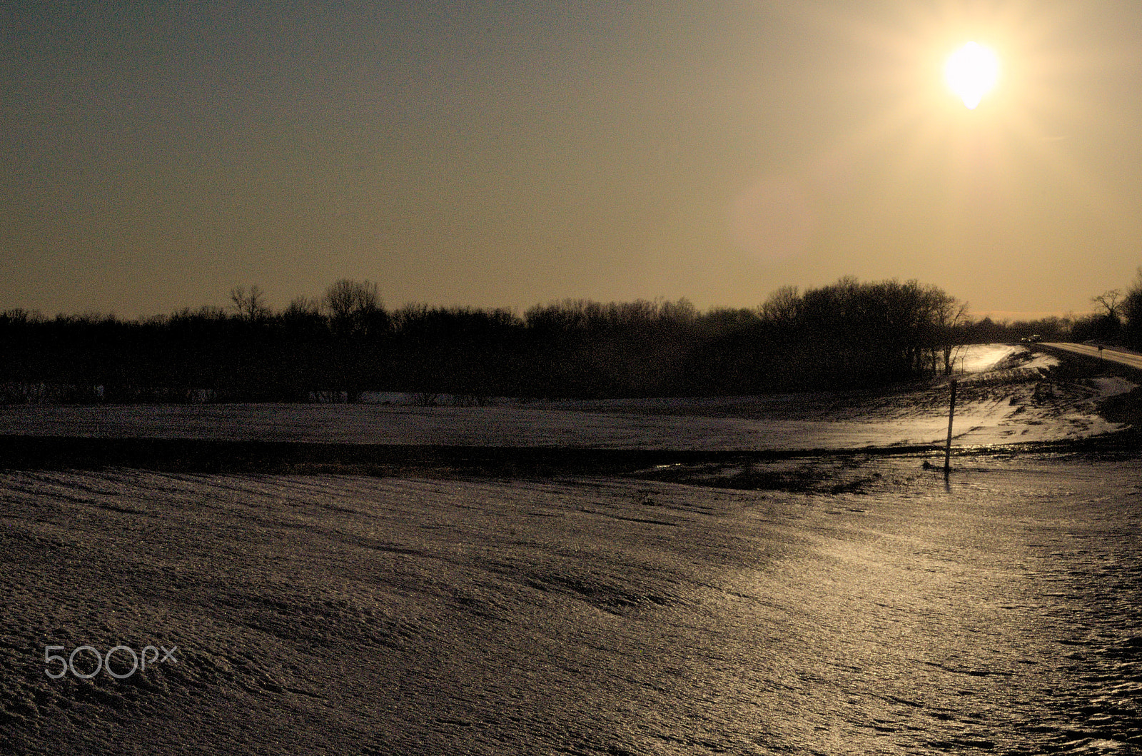 AF Zoom-Nikkor 35-70mm f/3.3-4.5 sample photo. Sunlight photography