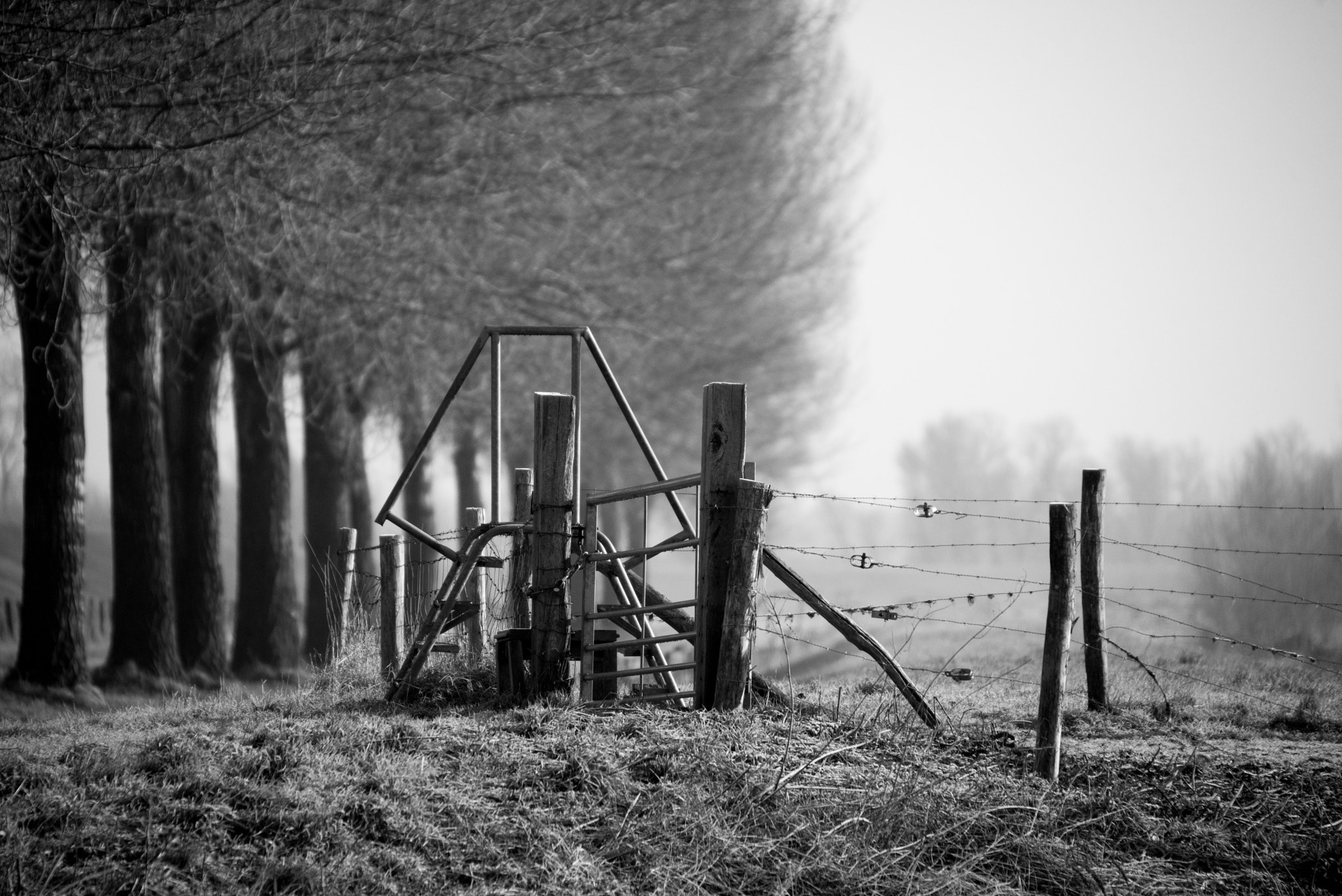 Nikon D750 + Sigma 50-500mm F4.5-6.3 DG OS HSM sample photo. Crossing barbwire photography