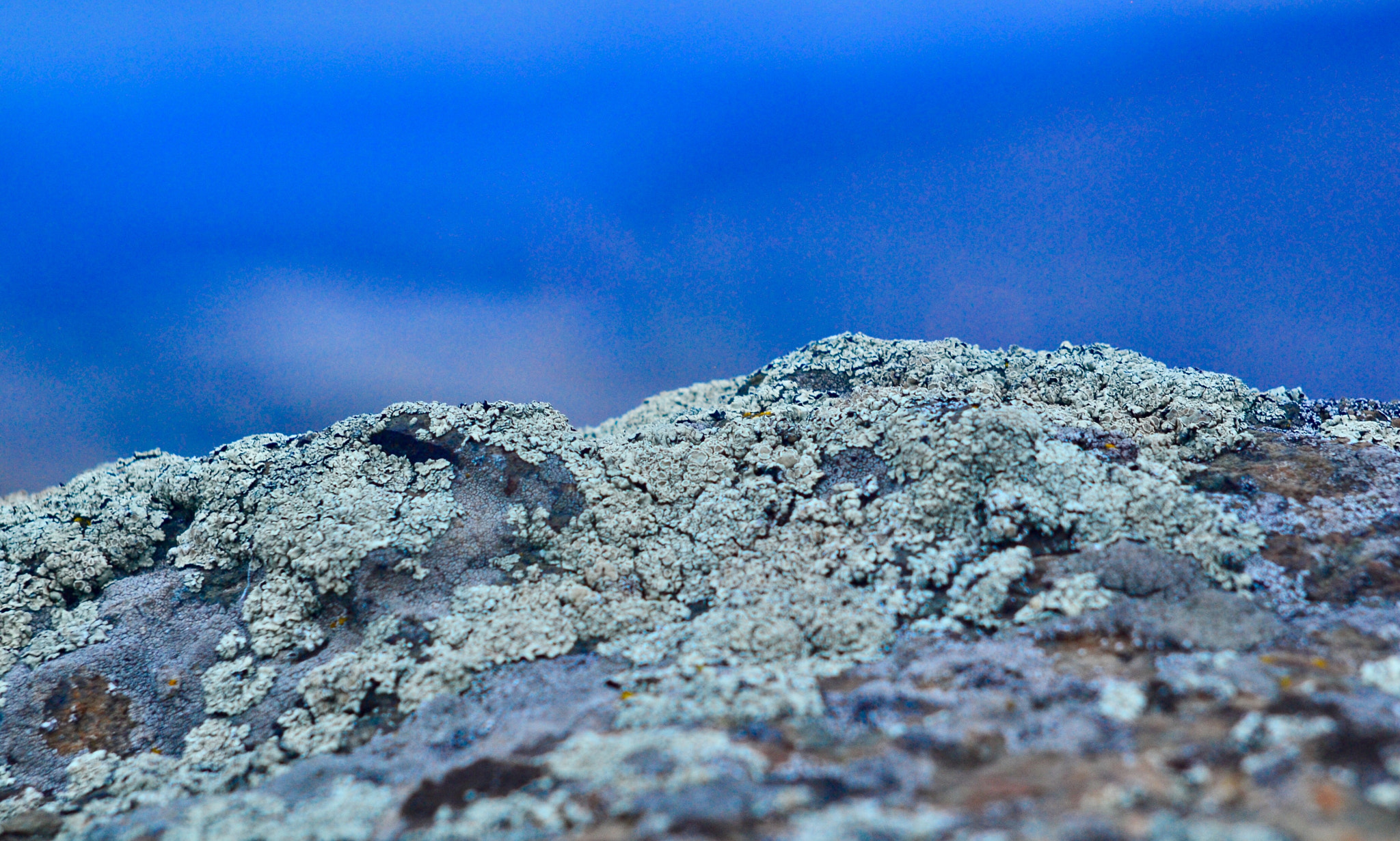 Nikon D7000 + AF Nikkor 50mm f/1.8 sample photo. Lichen mountain photography