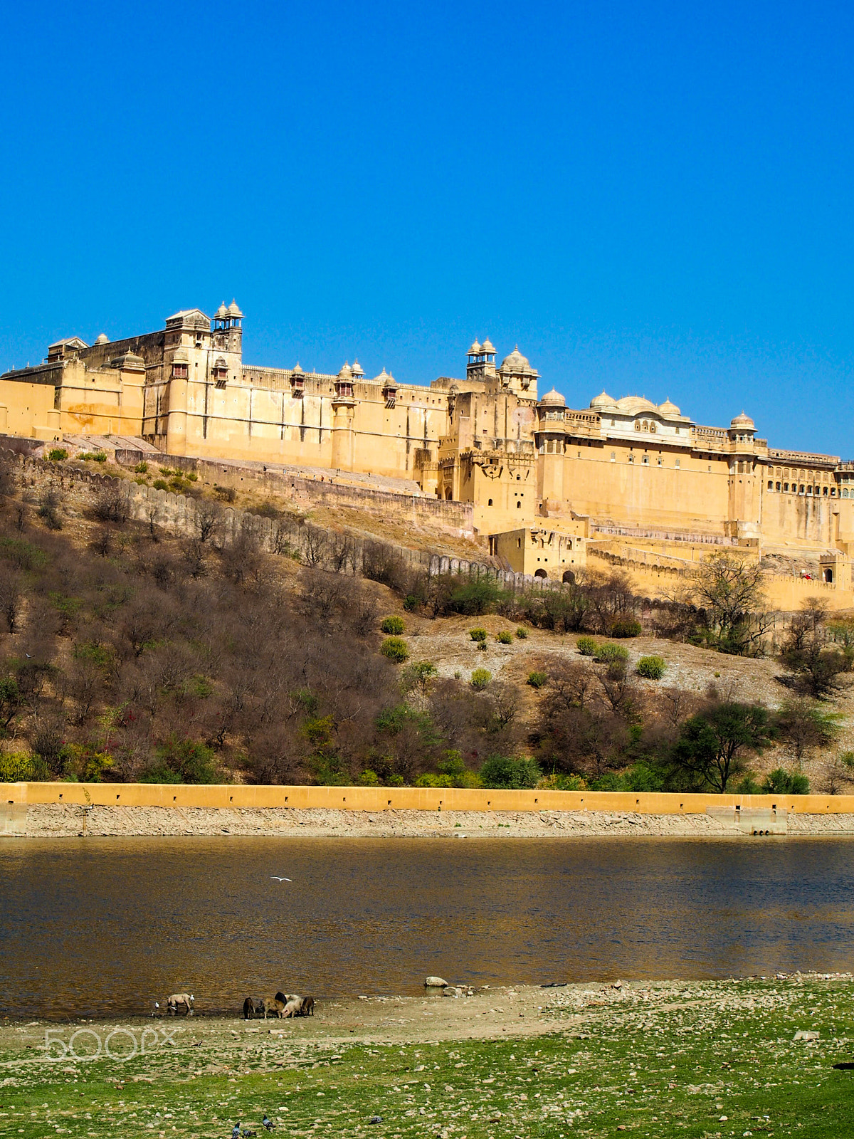 Olympus OM-D E-M5 sample photo. View of amber fort in jaipur india photography
