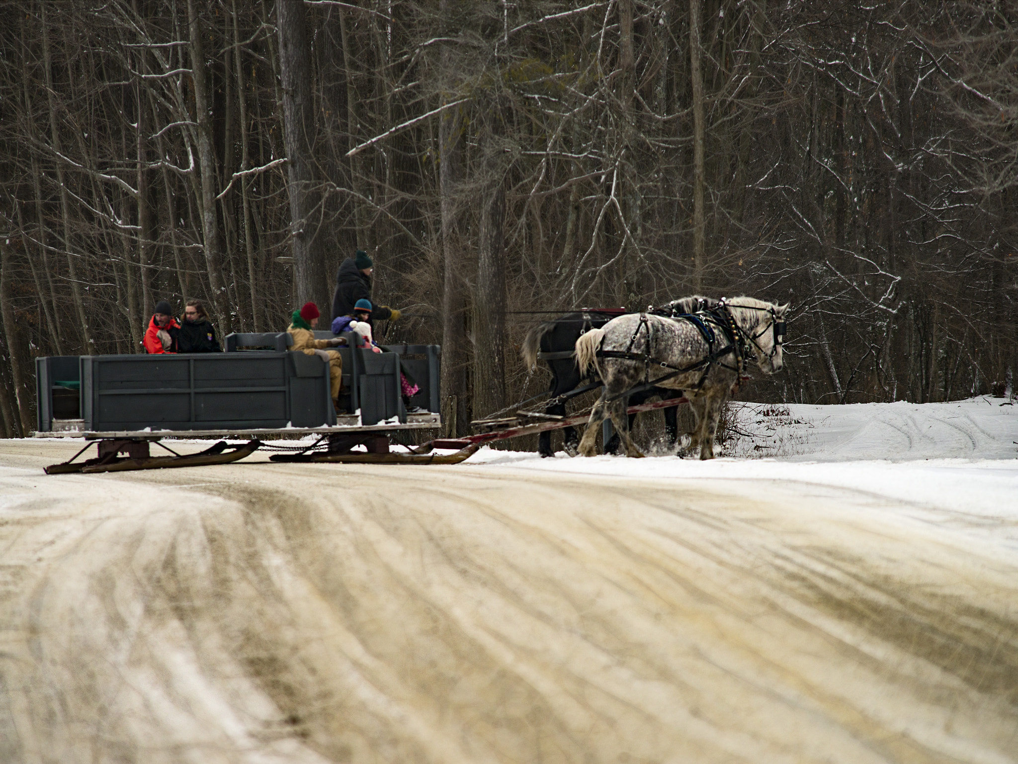 Nikon D800 + AF Nikkor 300mm f/4 IF-ED sample photo. Rural sled ride photography