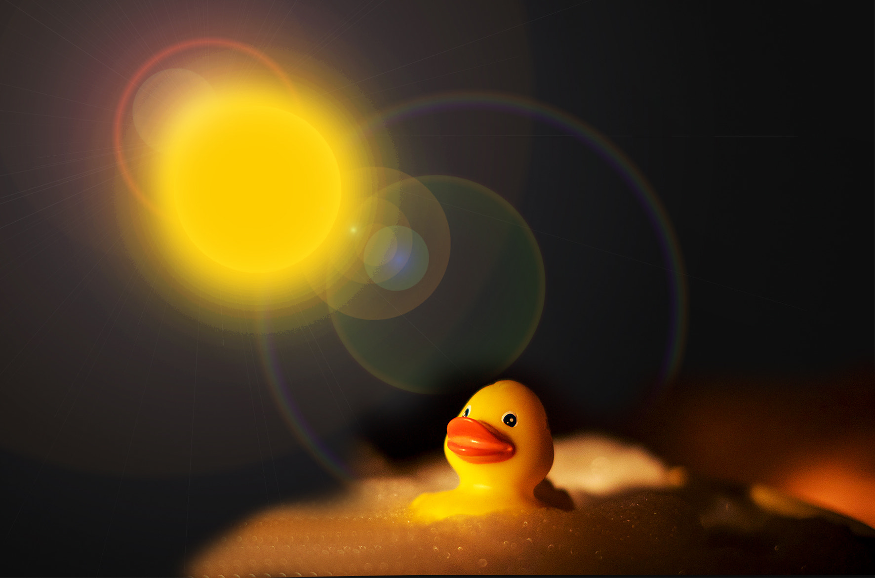 Canon EF 300mm F2.8L IS II USM sample photo. Duck photography