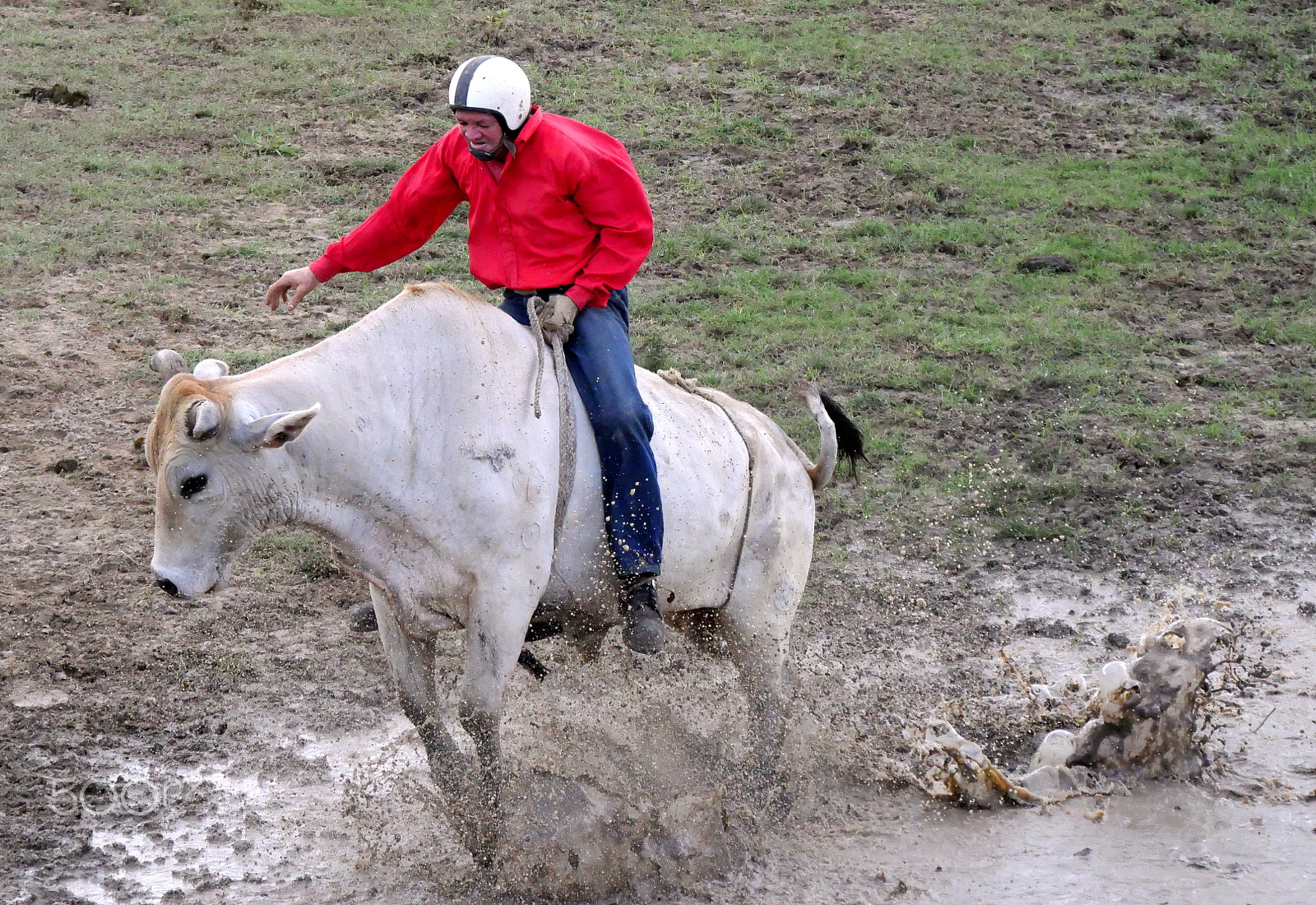Panasonic Lumix DMC-GX8 sample photo. Ride 'em rancher photography