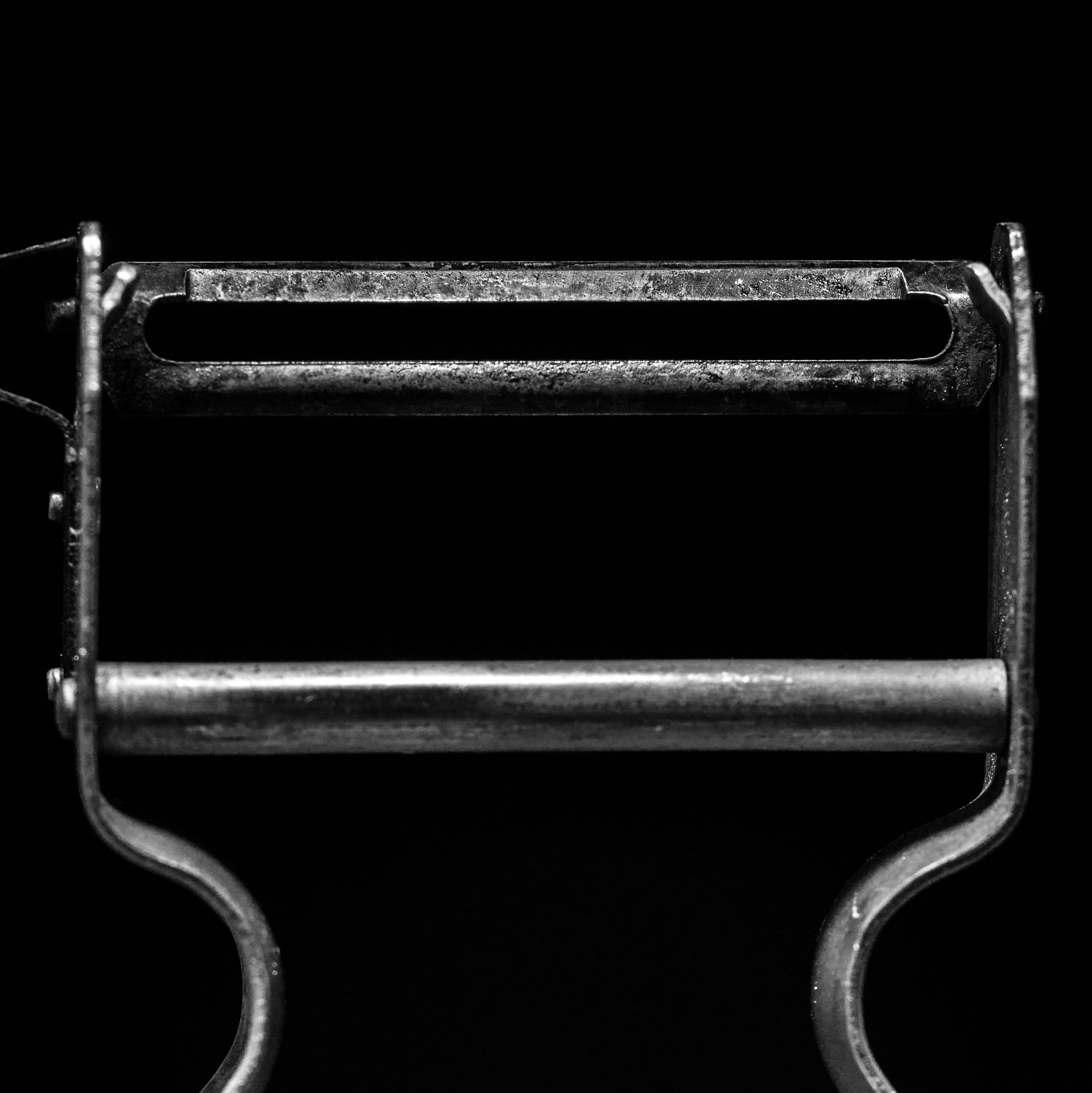 Sigma APO Macro 150mm f/2.8 EX DG HSM sample photo. Peeler photography