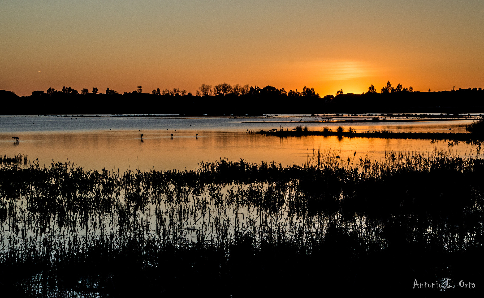 Nikon D3200 sample photo. Atardece en la madre photography