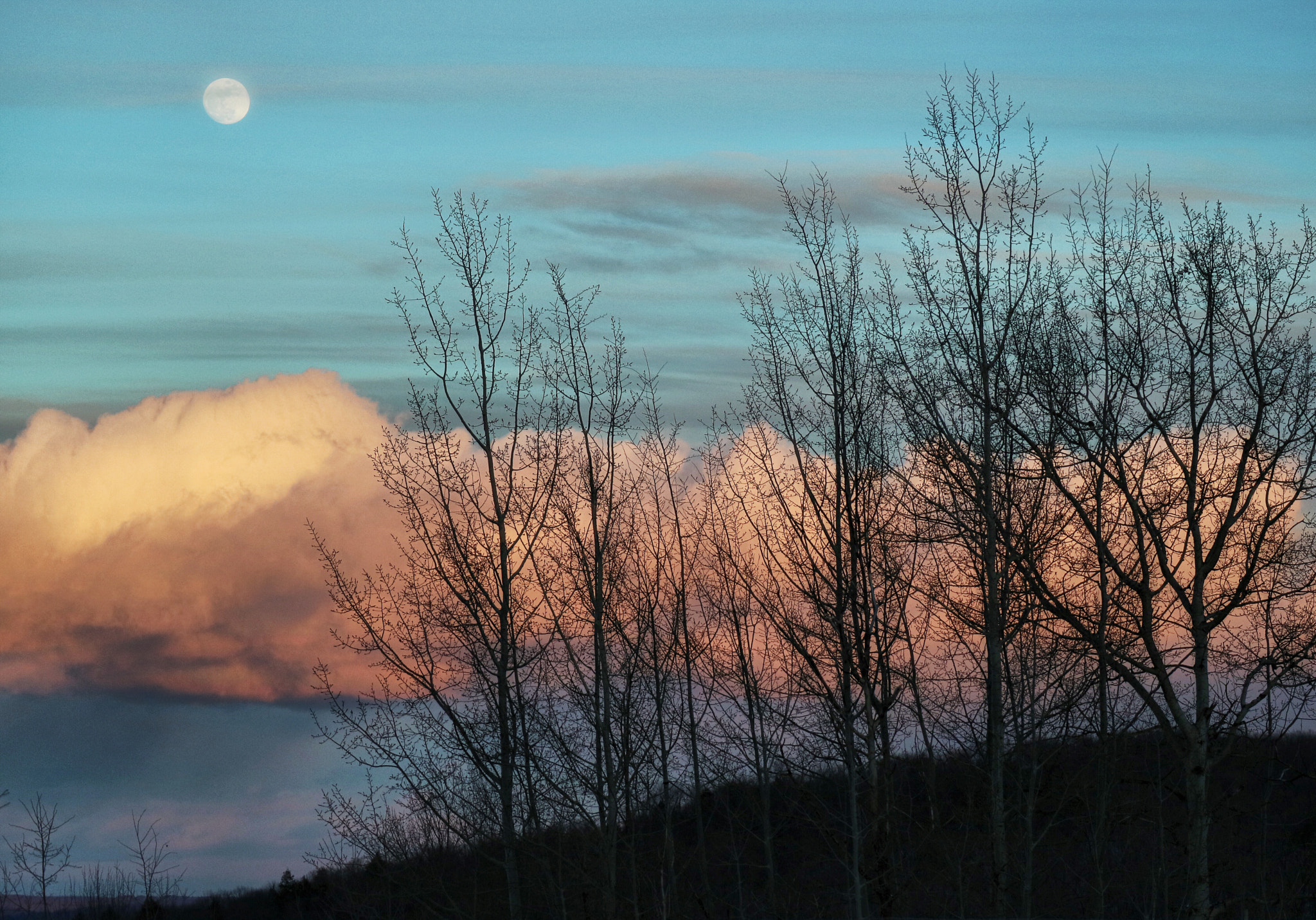 Canon EOS M3 sample photo