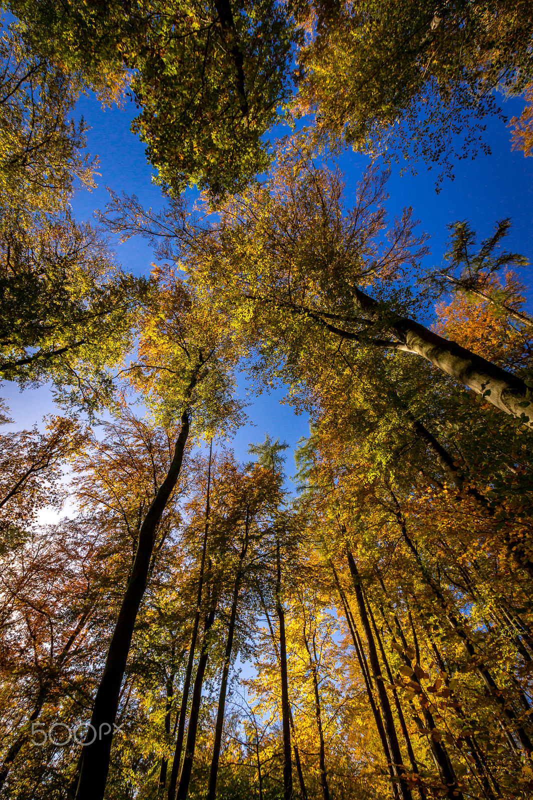 Sony SLT-A77 + Sigma 10-20mm F3.5 EX DC HSM sample photo. Kreidacher höhe photography