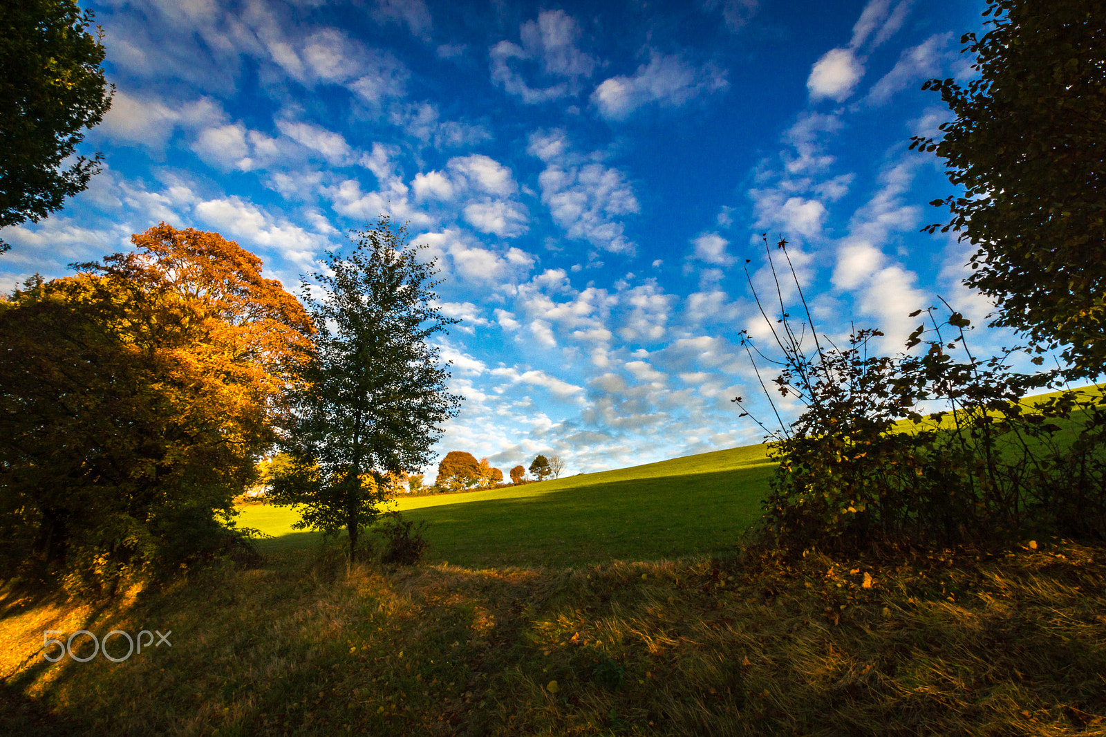 Sony SLT-A77 + Sigma 10-20mm F3.5 EX DC HSM sample photo. Kreidacher höhe photography