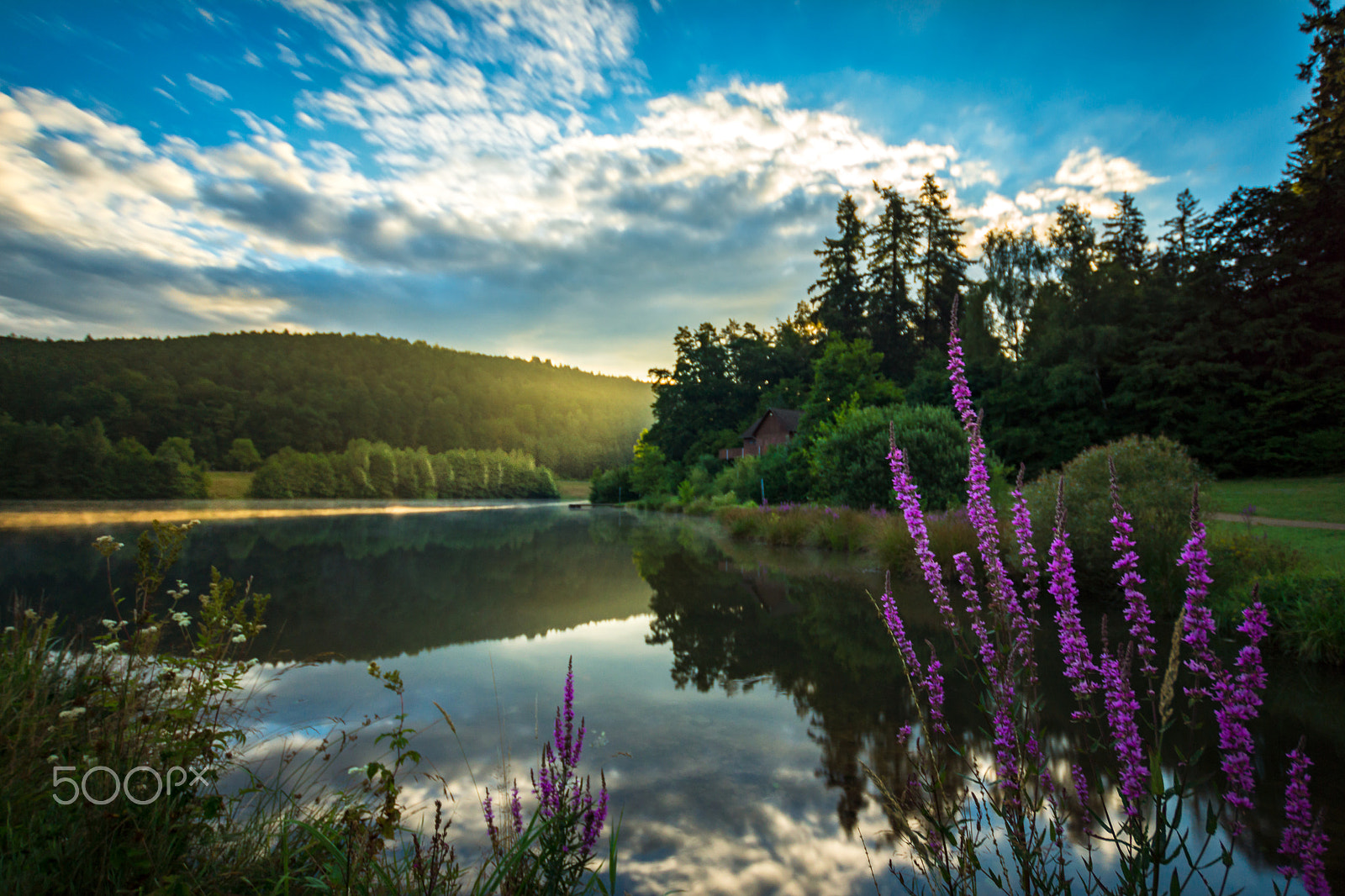 Sony SLT-A77 sample photo. Marbachsee photography